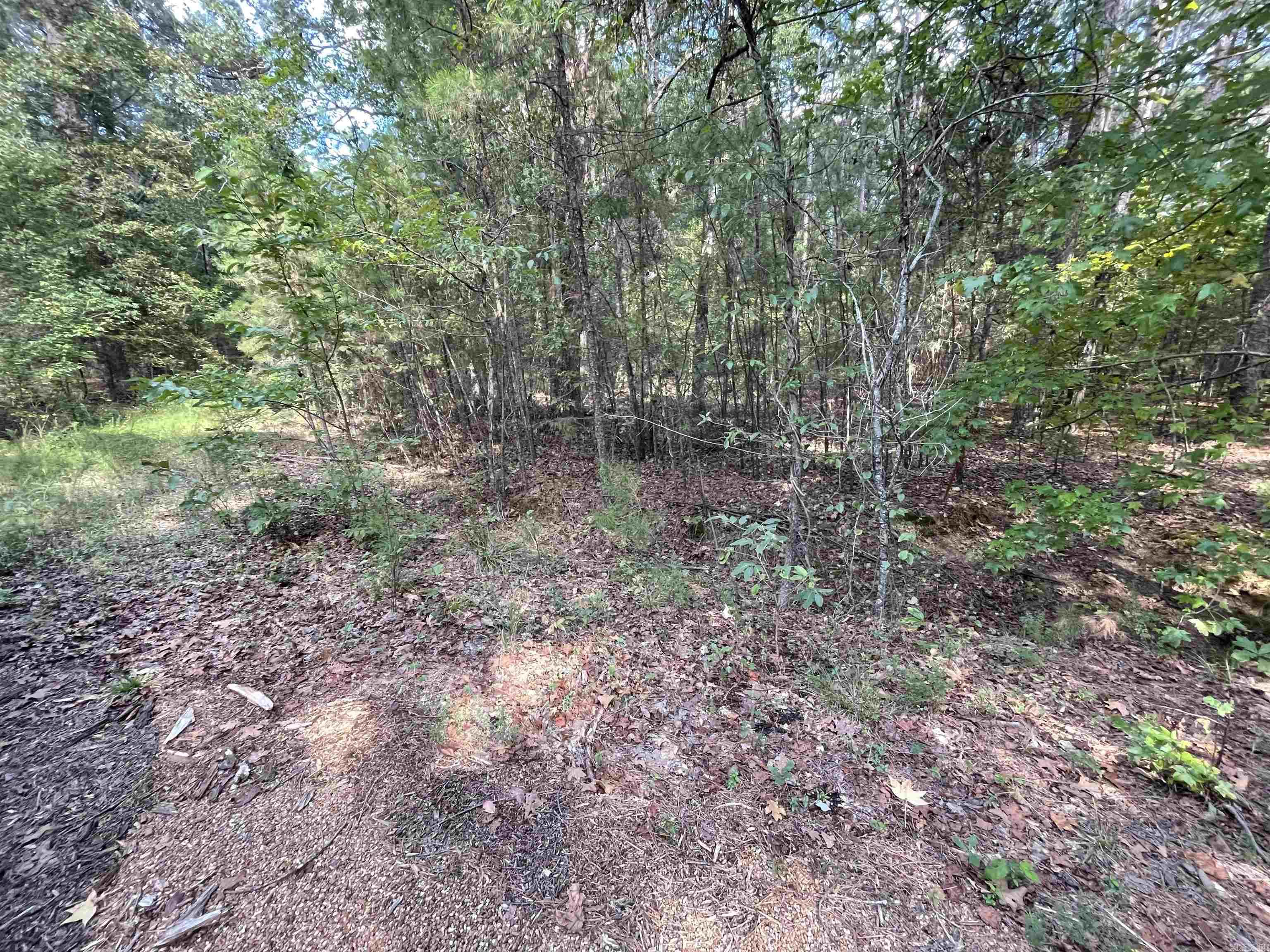 Lots 431 KUSTRIN DR. Drasco, AR 72530