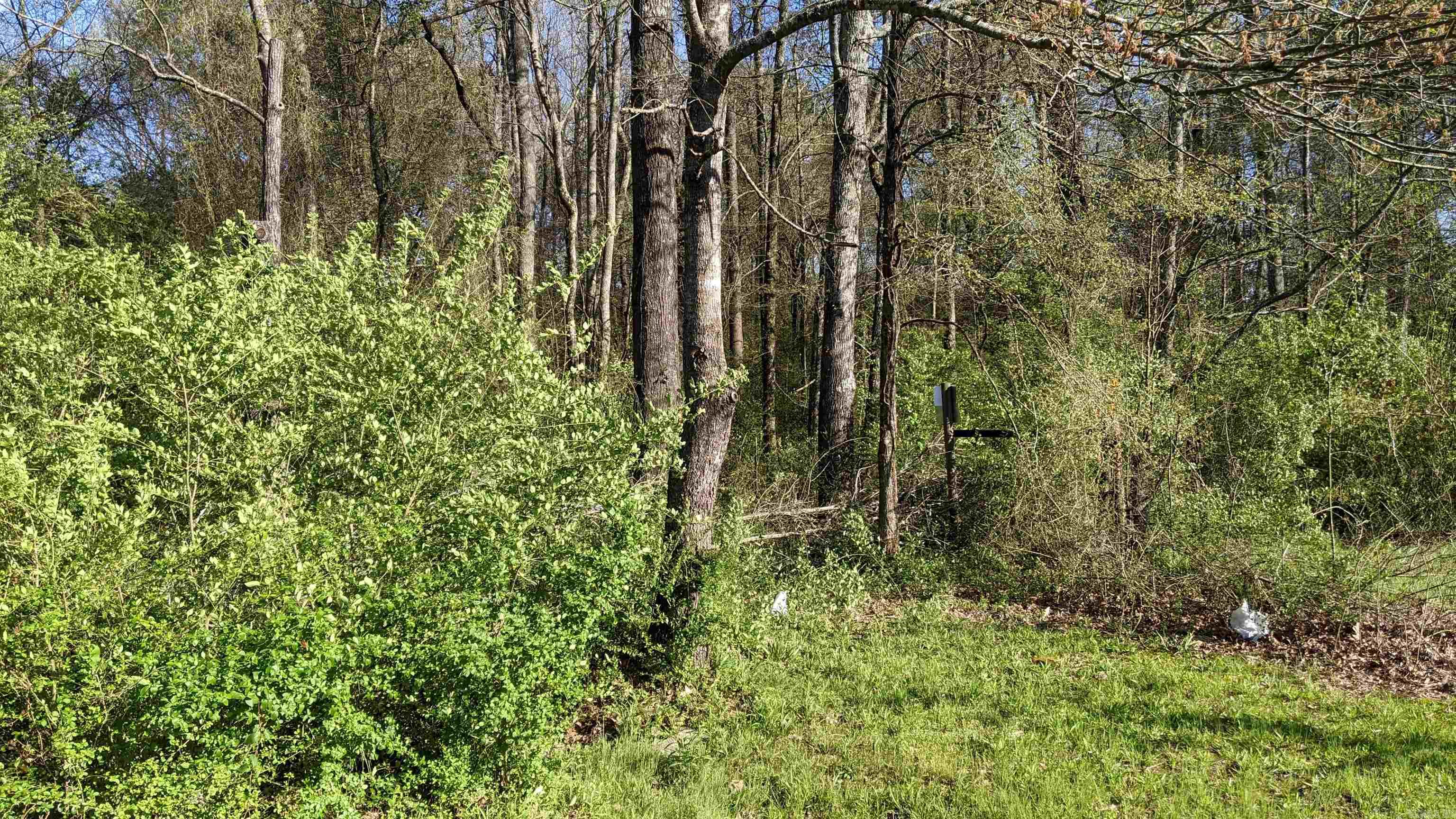 32  Oddie  Ward, AR