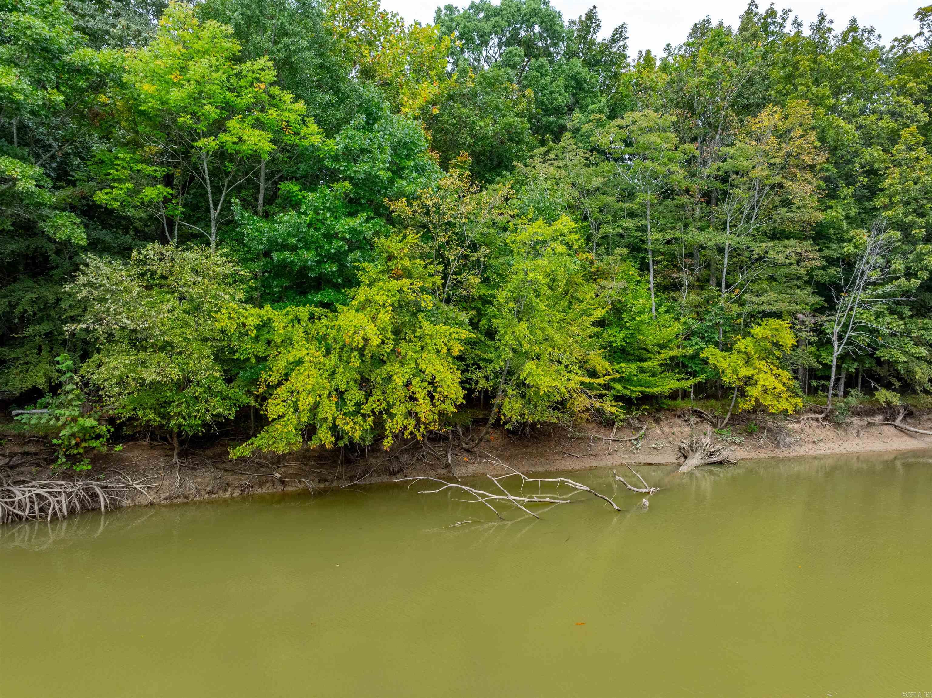 111  CR 228  Knobel, AR