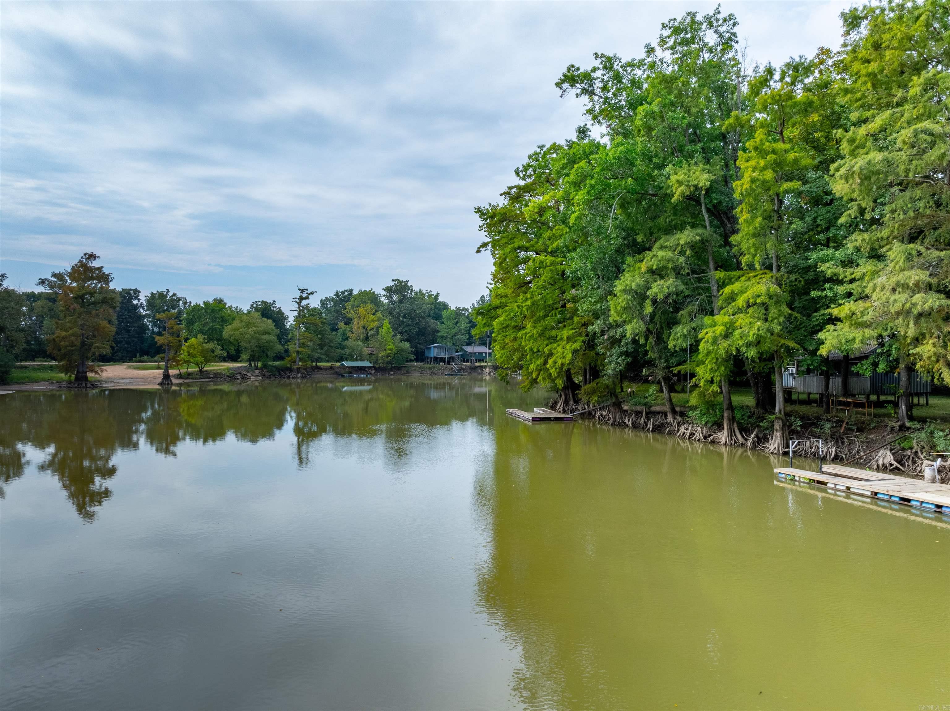 111  CR 228  Knobel, AR