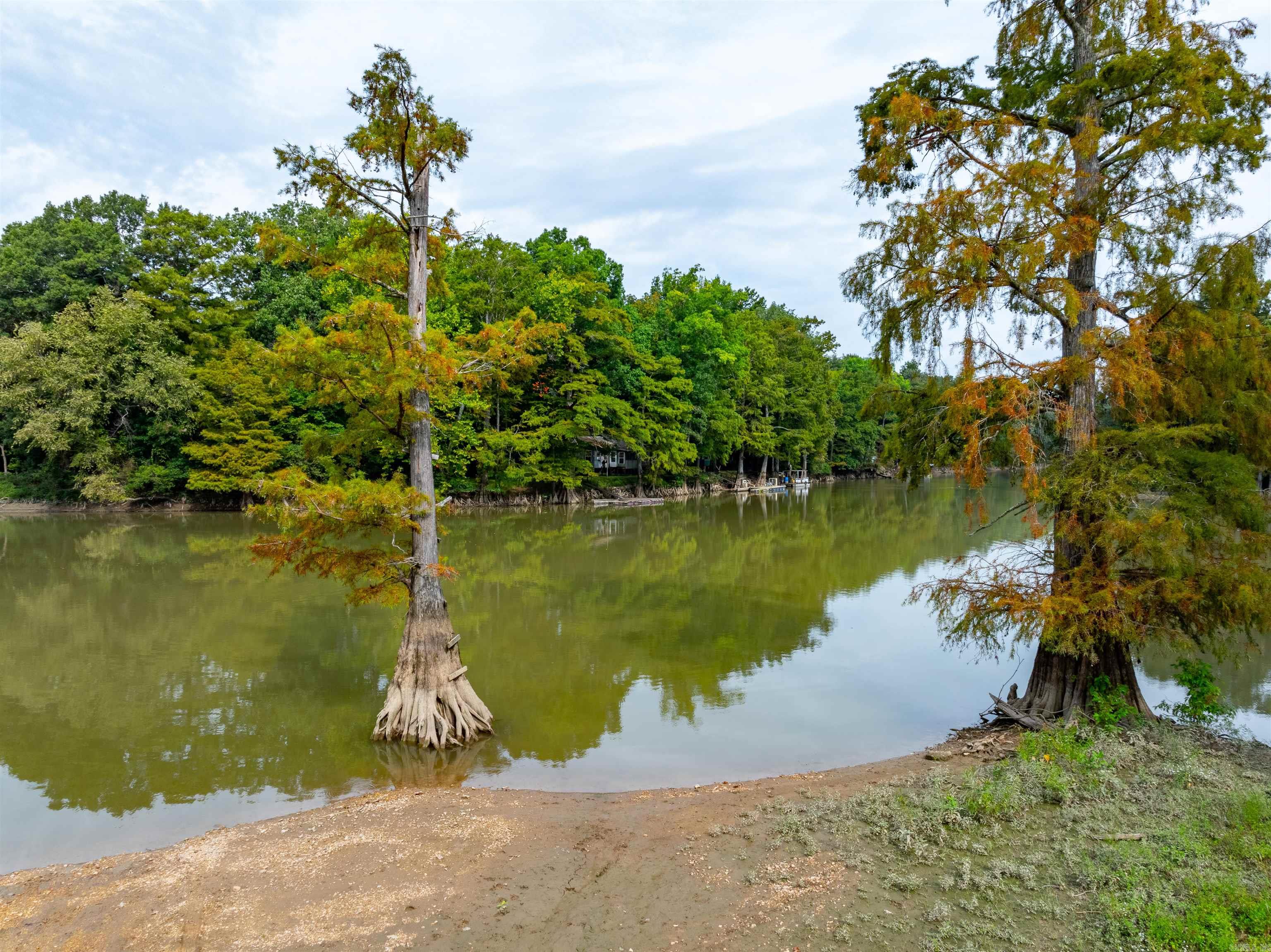 111  CR 228  Knobel, AR