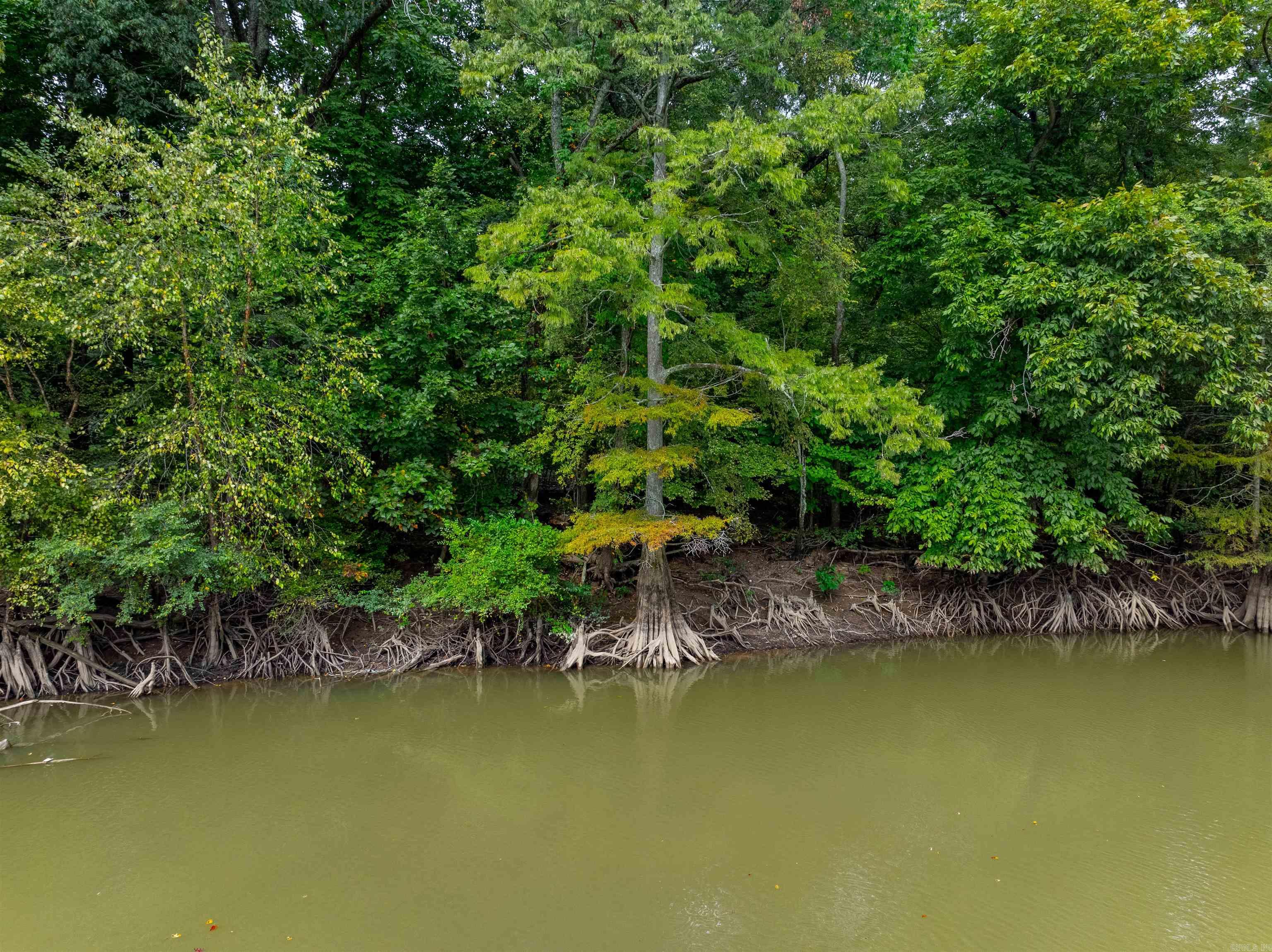 111  CR 228  Knobel, AR