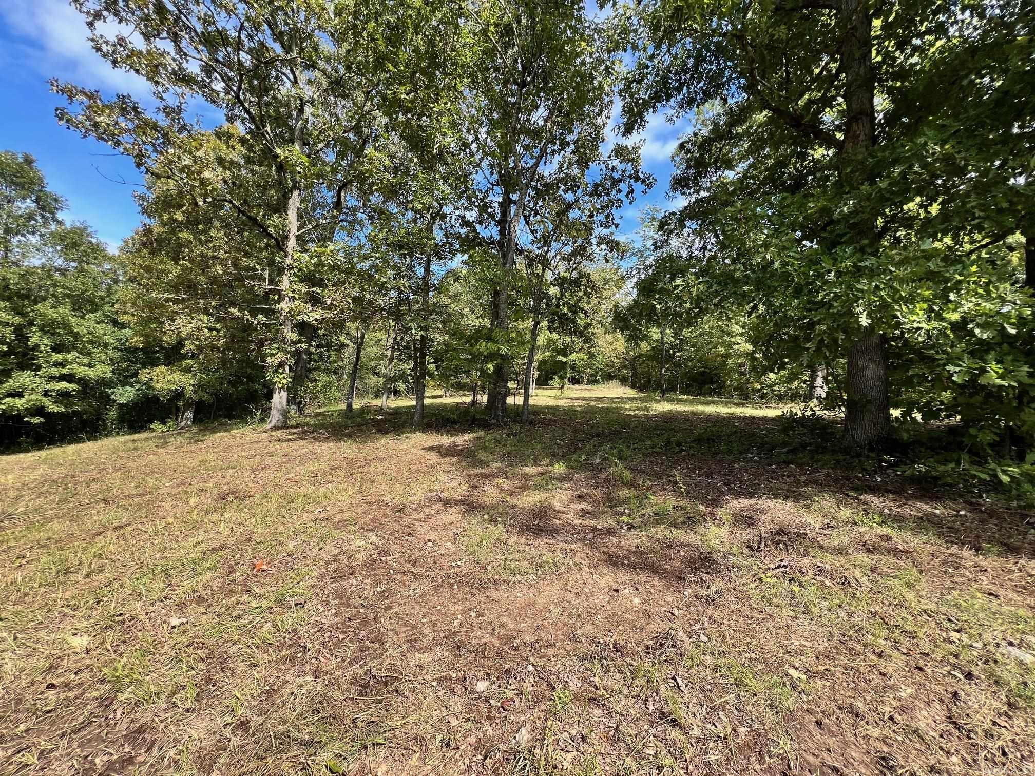 000 Rainbow Valley  Mammoth Spring, AR