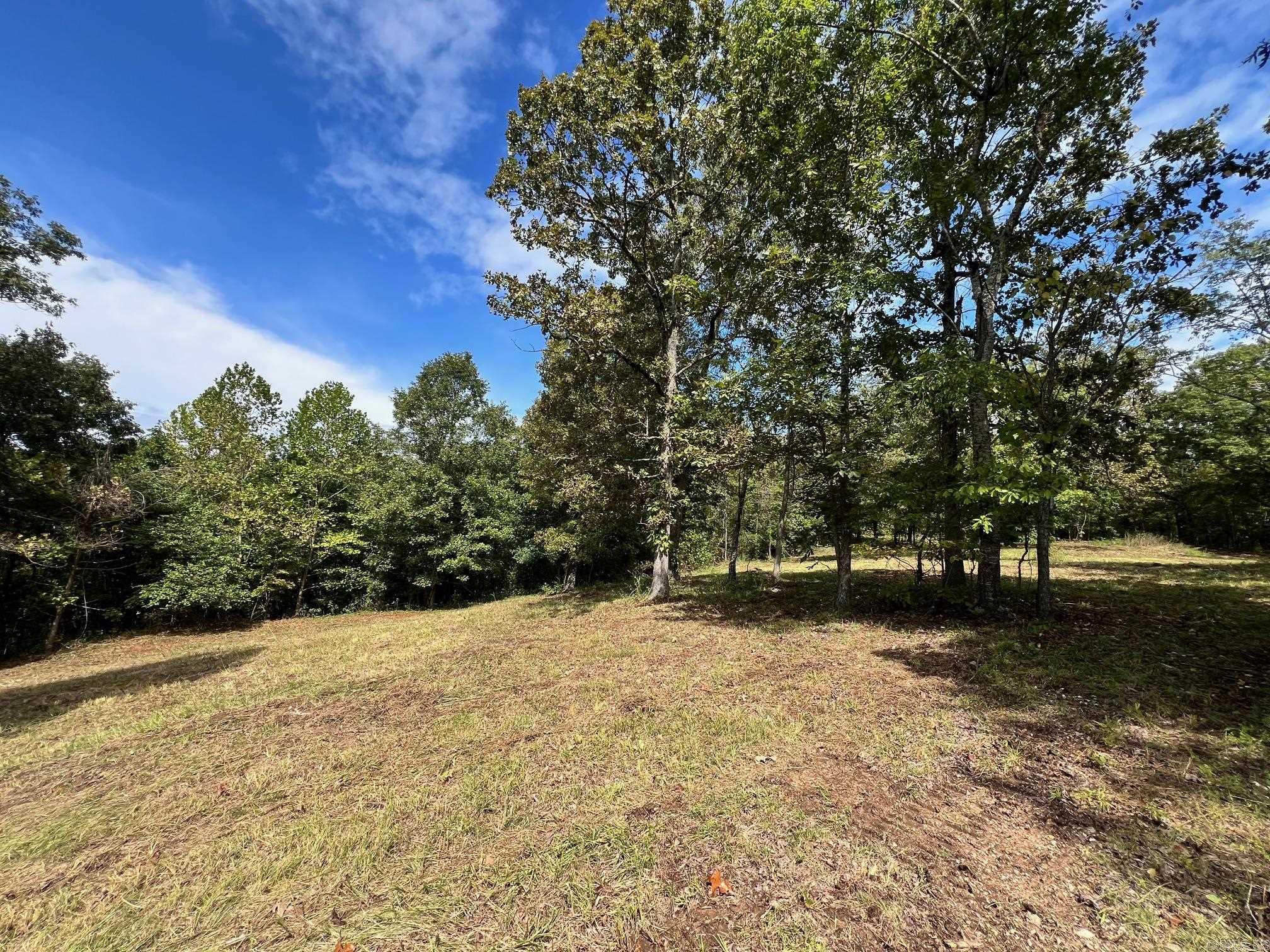 000 Rainbow Valley  Mammoth Spring, AR