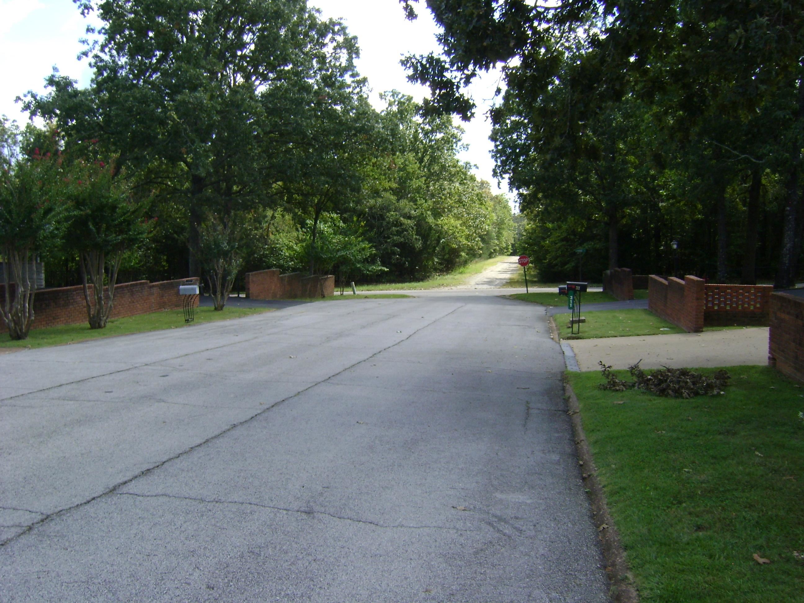309  Parliament Drive  Horseshoe Bend, AR