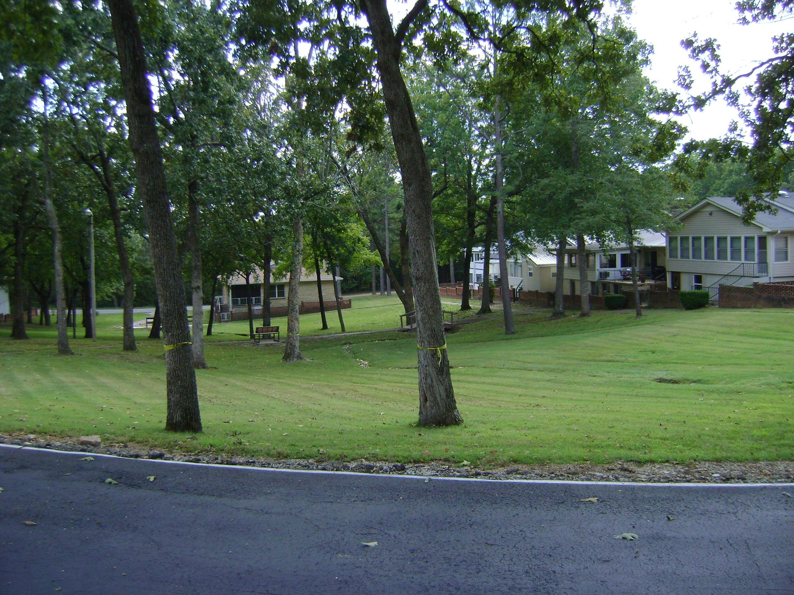 309  Parliament Drive  Horseshoe Bend, AR