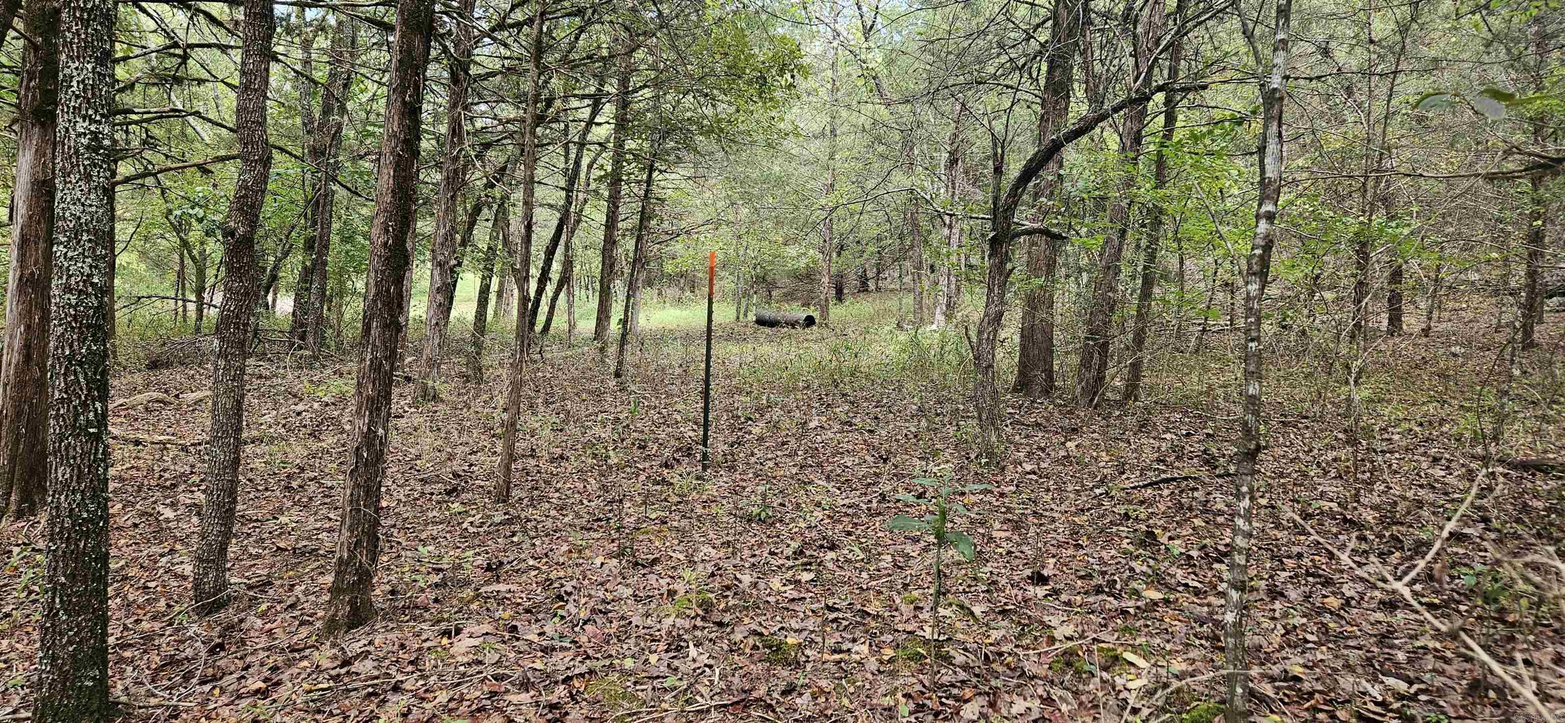 001-07553-000  CR 638  Mountain Home, AR