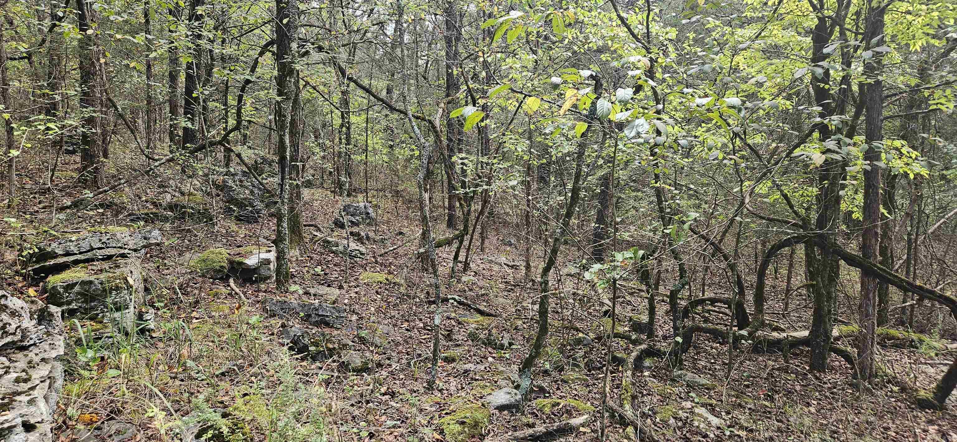 001-07553-000  CR 638  Mountain Home, AR