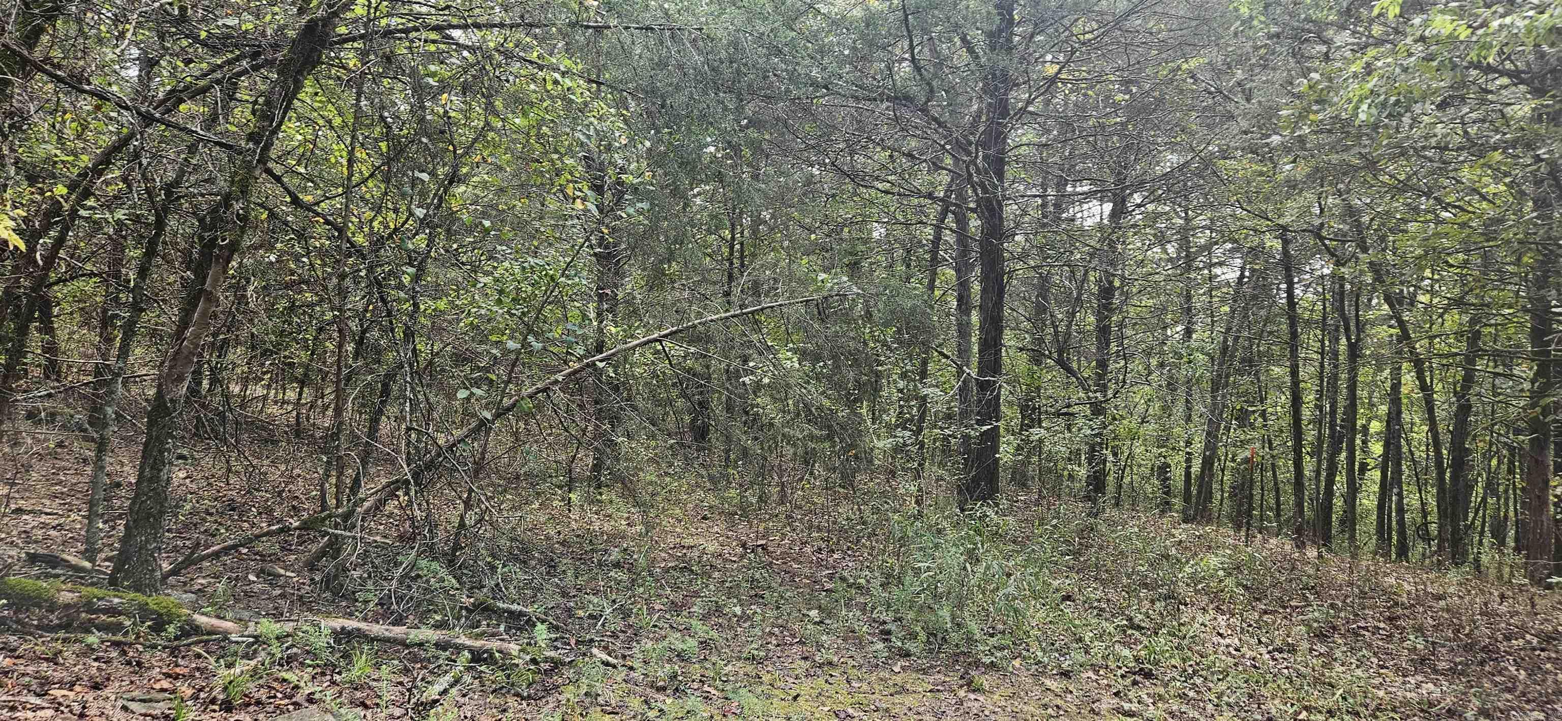 001-07553-000  CR 638  Mountain Home, AR
