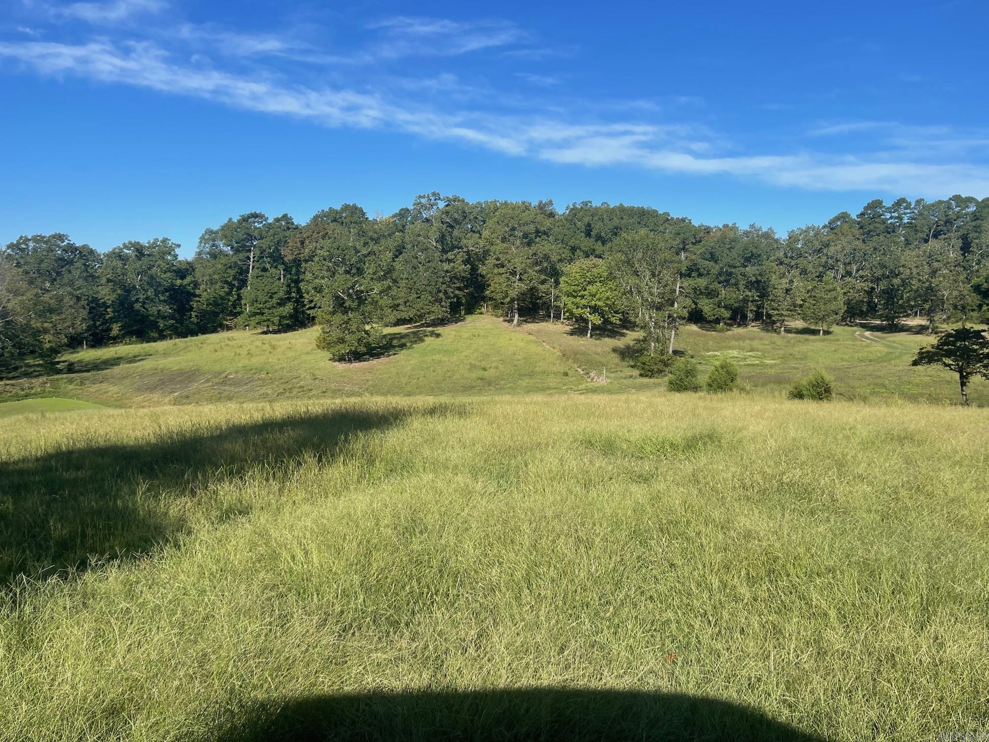 4004  HWY 71 S  Mena, AR
