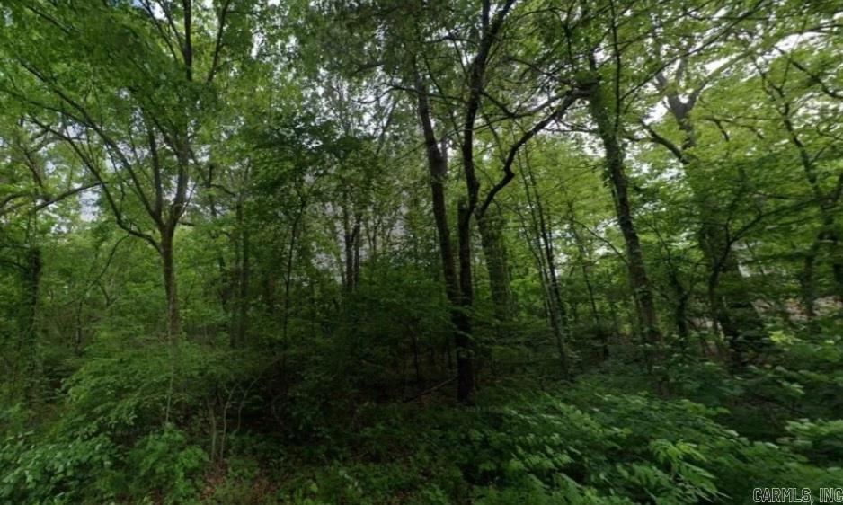 107  Sapphire  Horseshoe Bend, AR