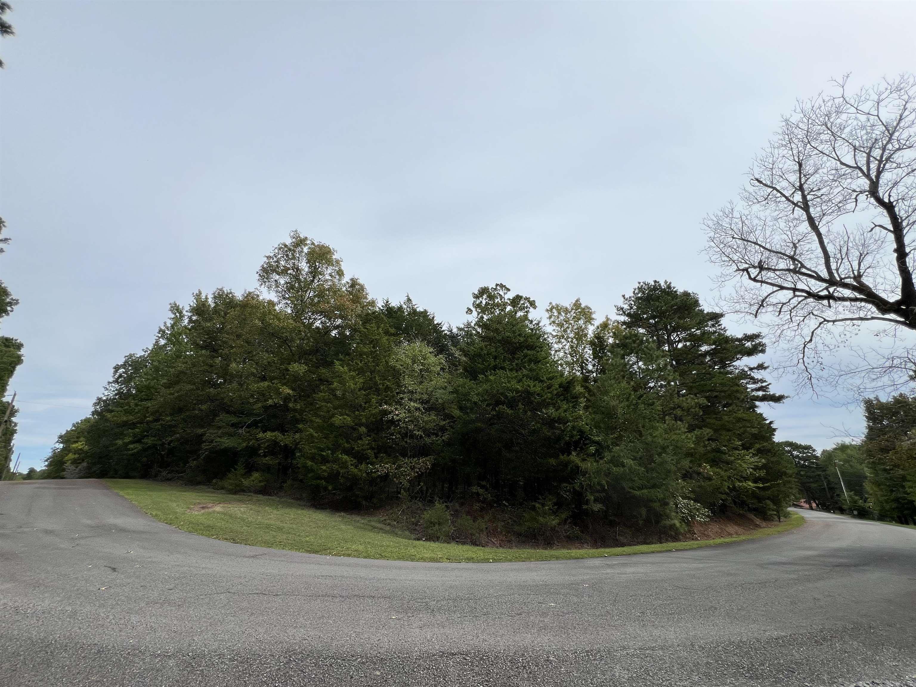 137  Shore Drive  Shirley, AR