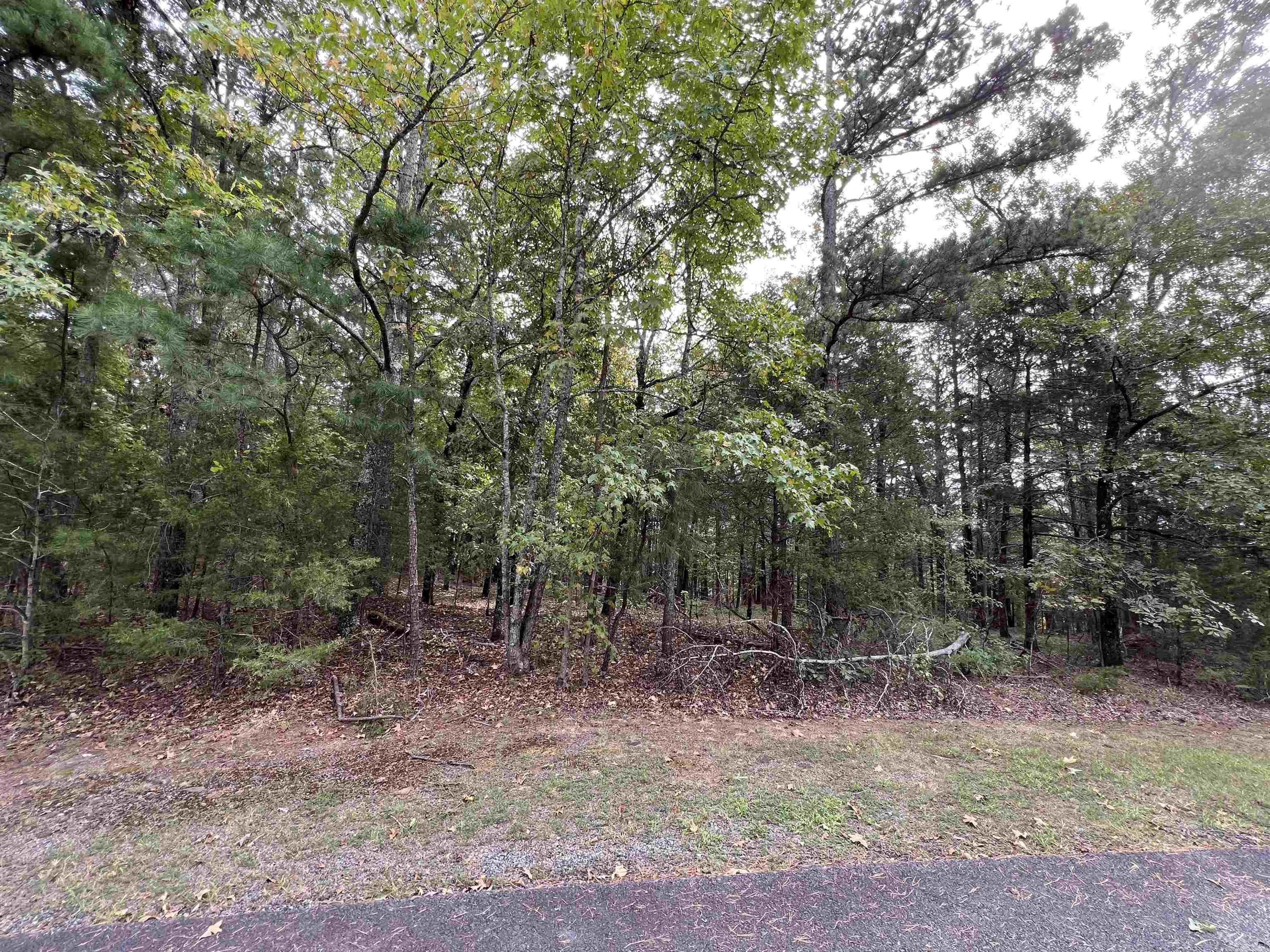 137  Shore Drive  Shirley, AR