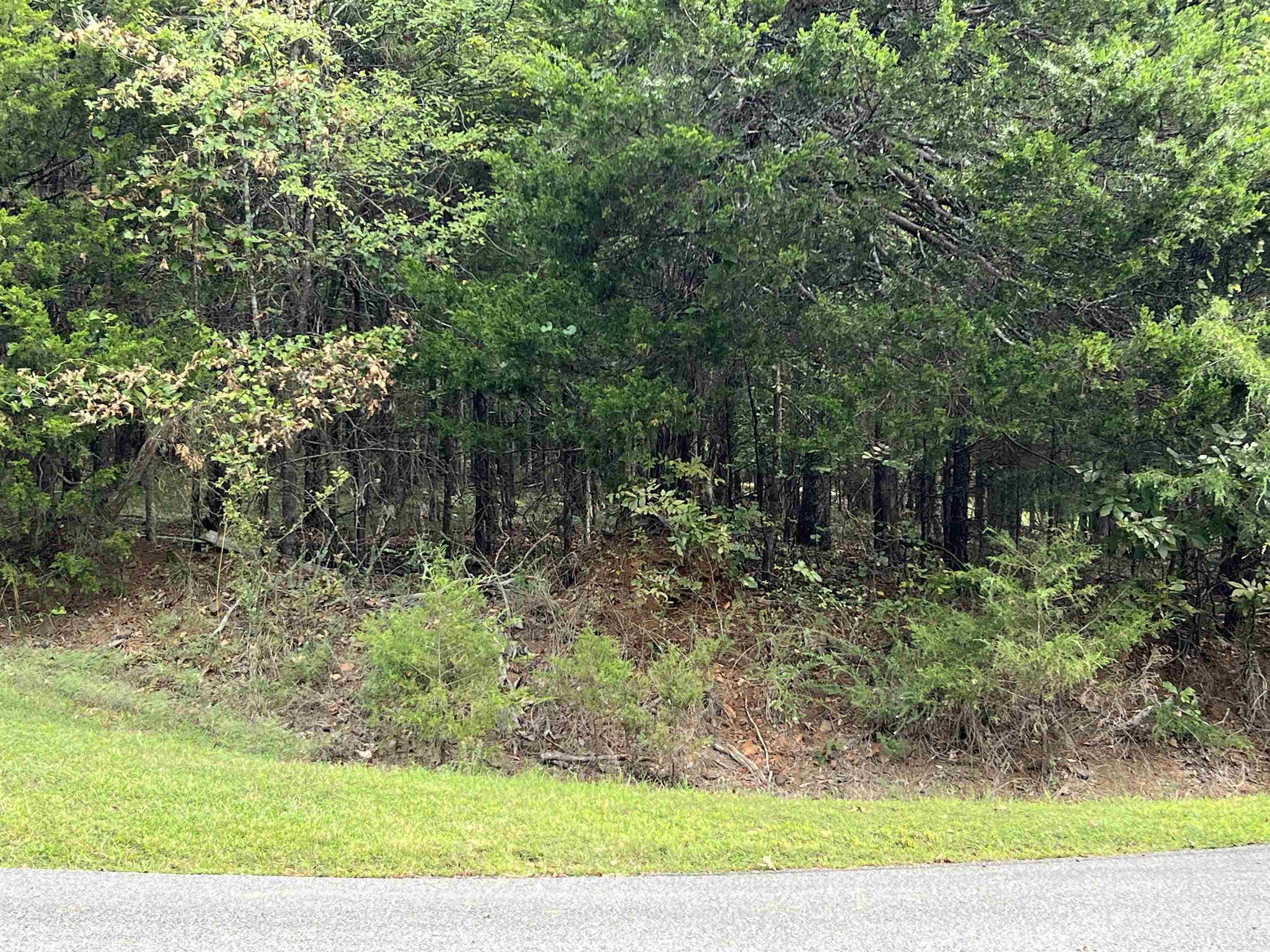 137  Shore Drive  Shirley, AR