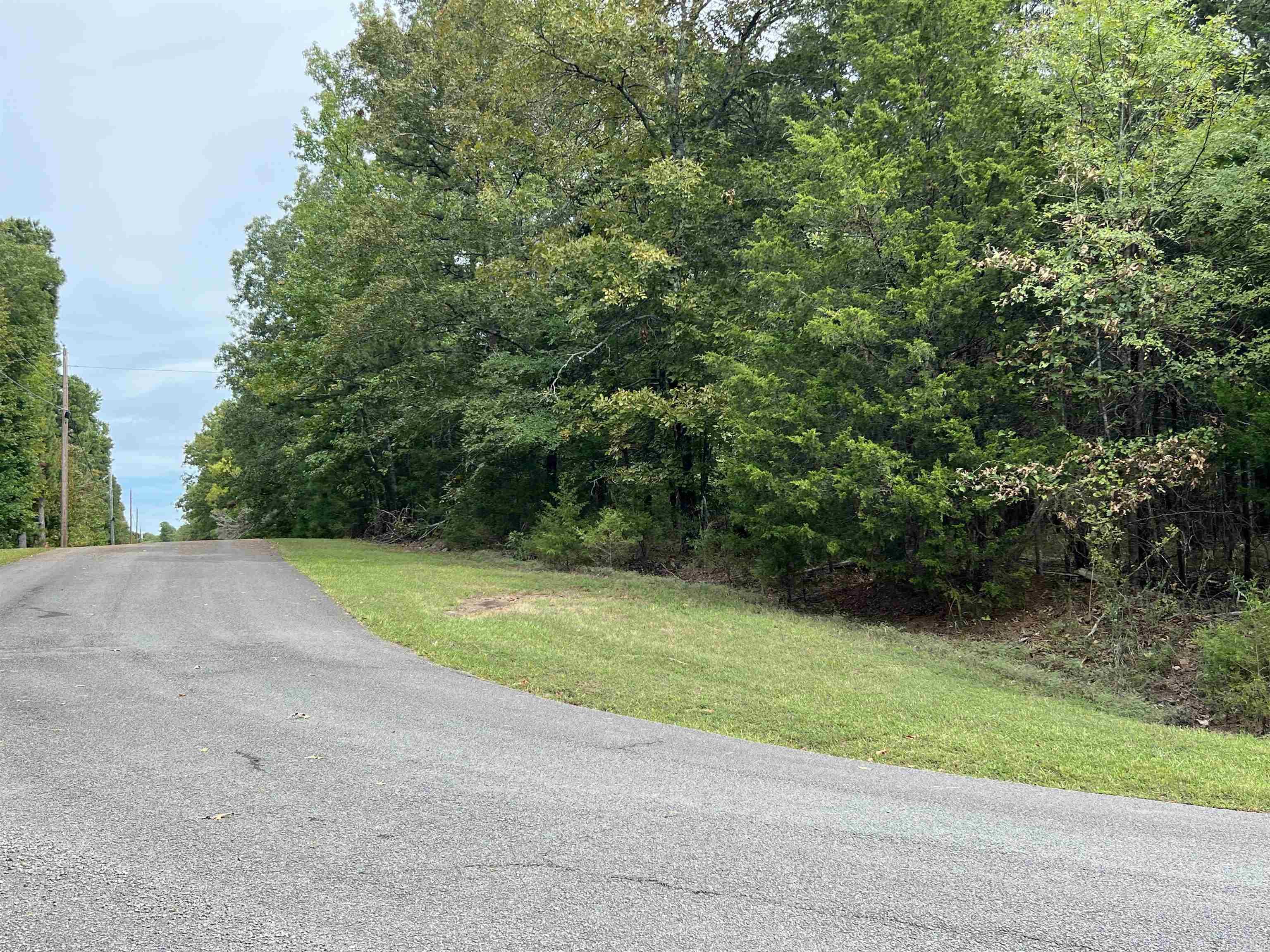 137  Shore Drive  Shirley, AR
