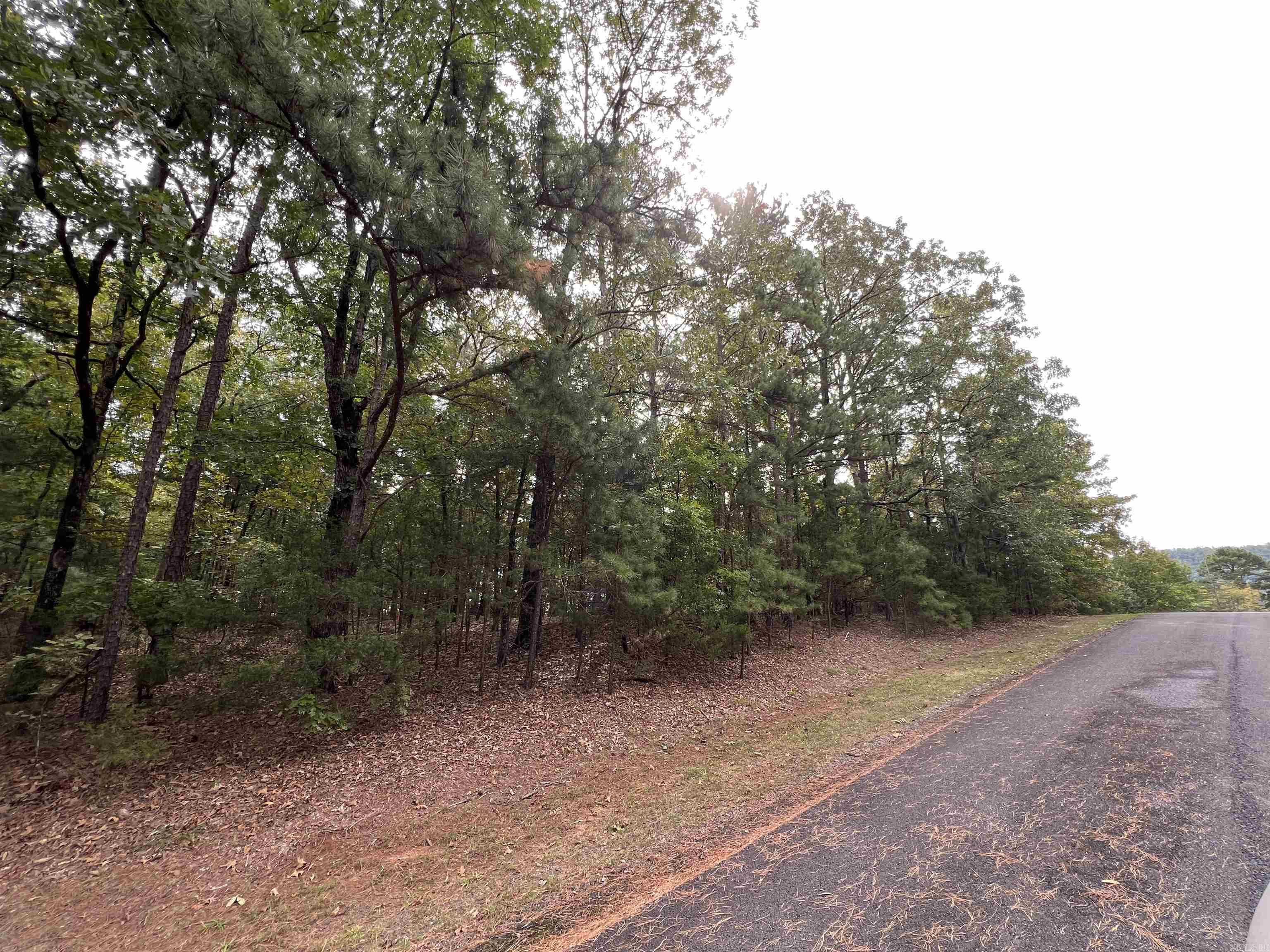 137  Shore Drive  Shirley, AR