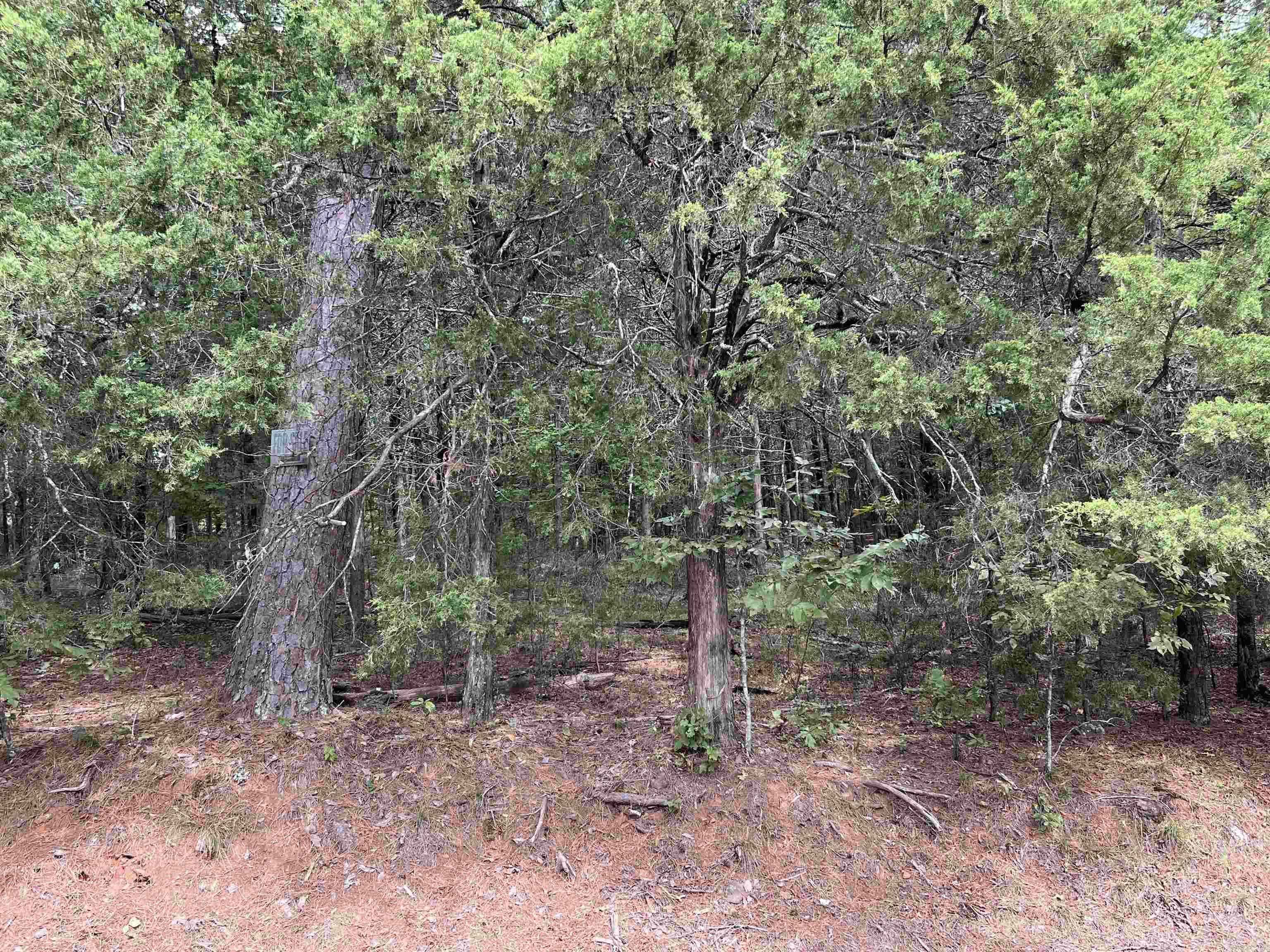 137  Shore Drive  Shirley, AR