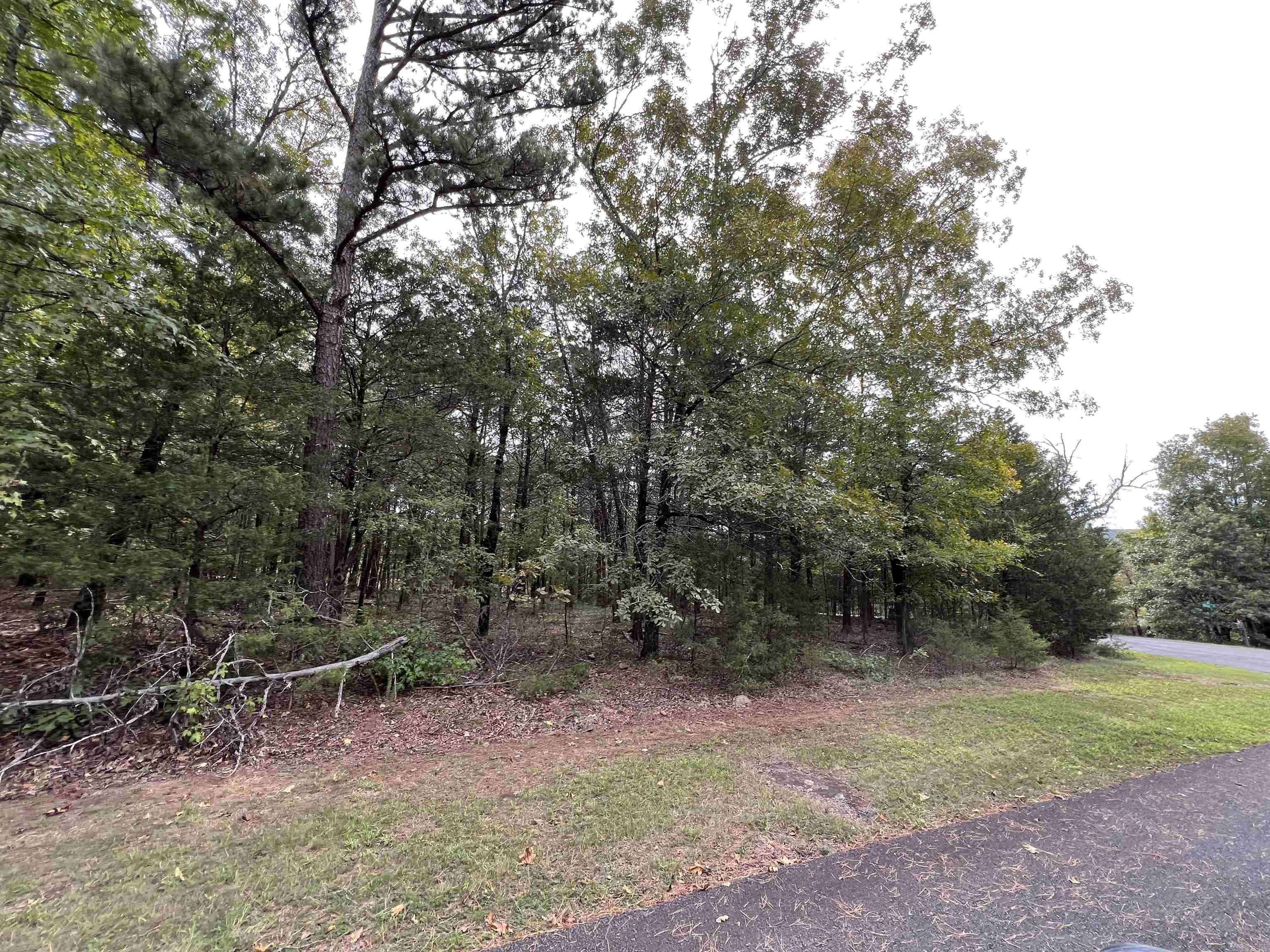137  Shore Drive  Shirley, AR