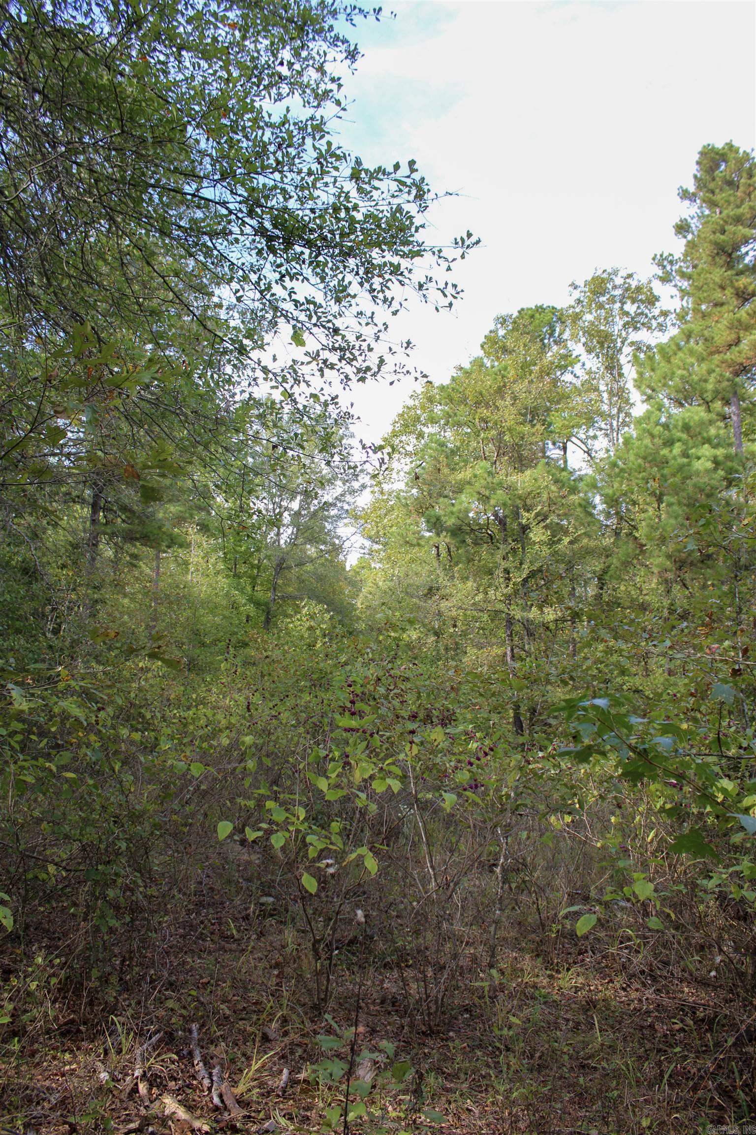 TBD  Polk 151  Hatfield, AR