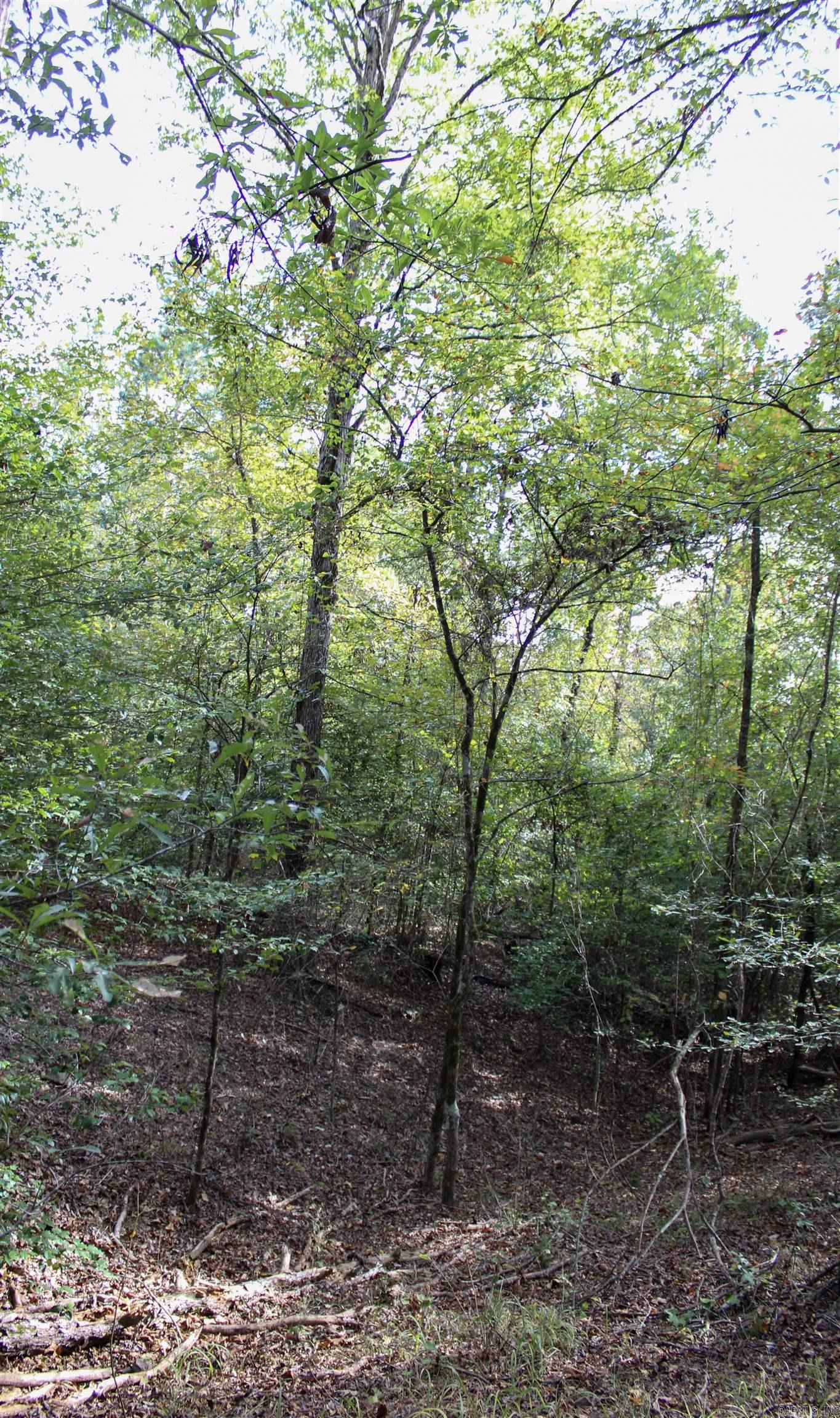 TBD  Polk 151  Hatfield, AR