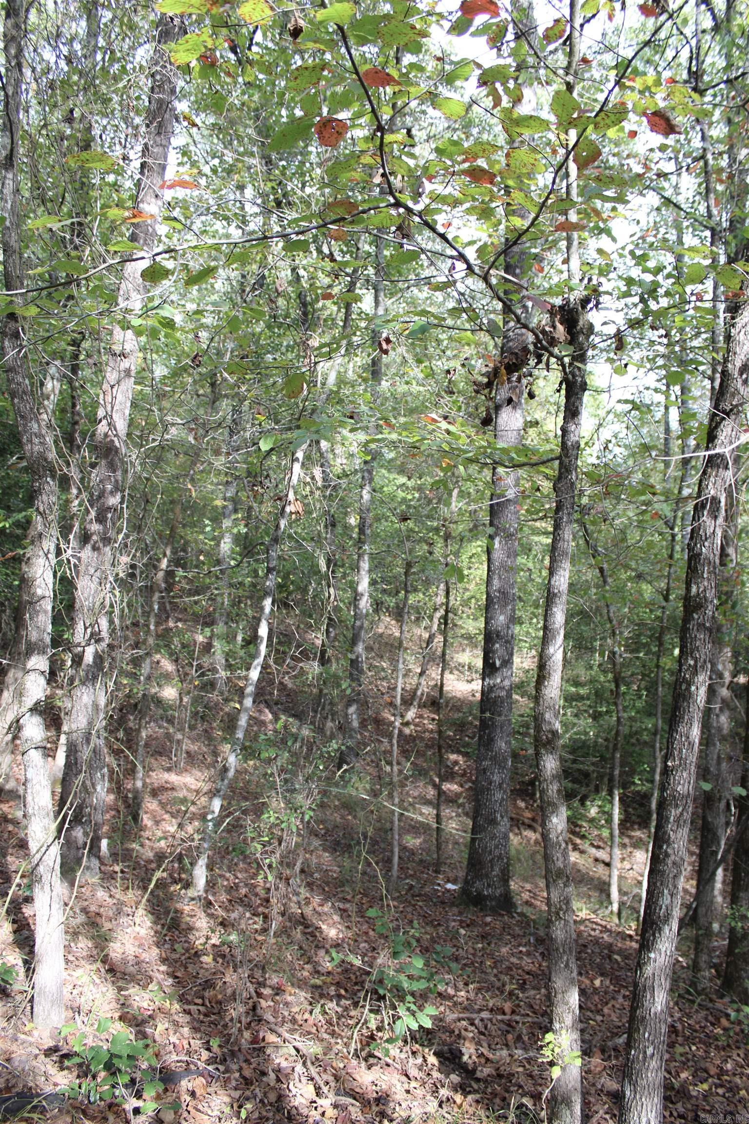 TBD  Polk 151  Hatfield, AR