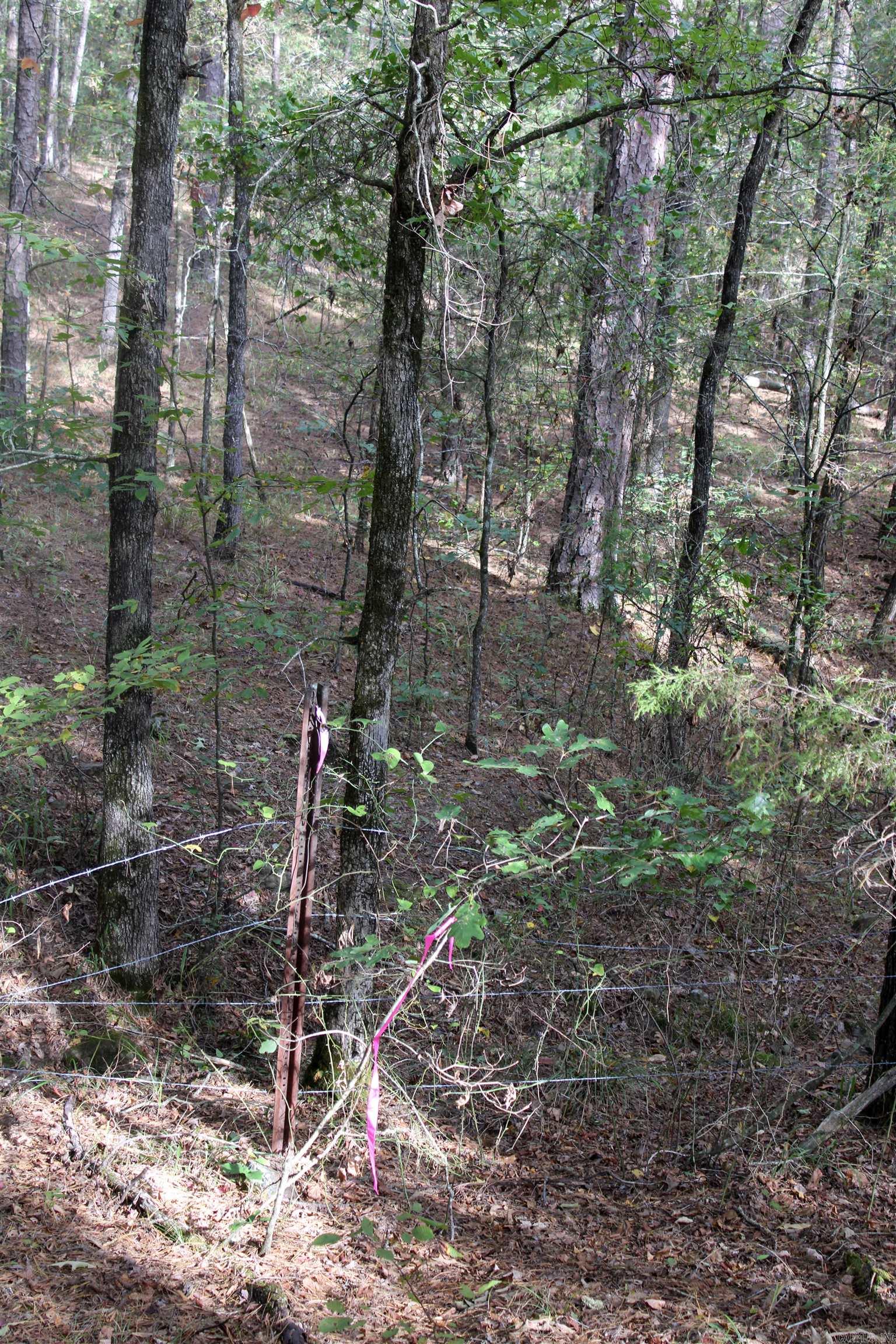 TBD  Polk 151  Hatfield, AR