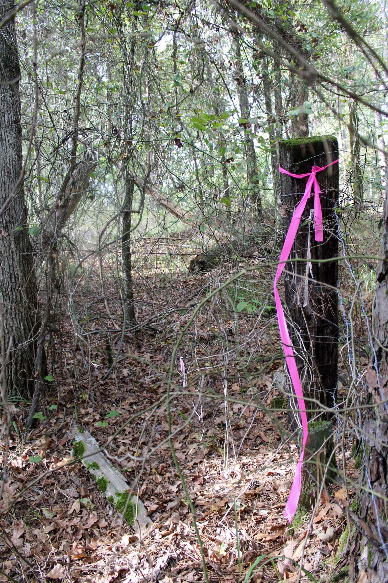 TBD  Polk 151  Hatfield, AR
