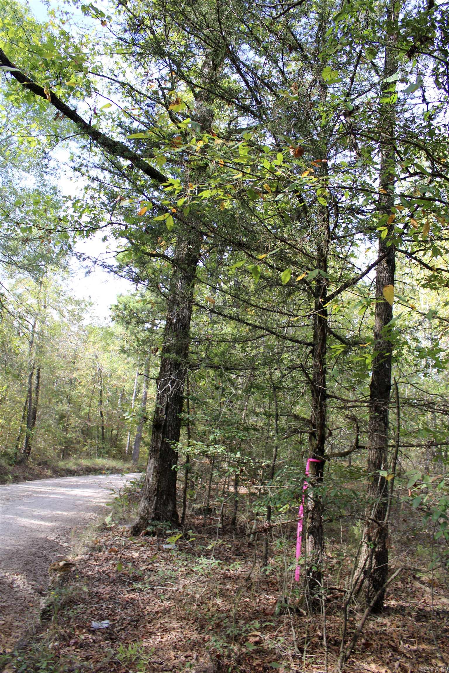 TBD  Polk 151  Hatfield, AR