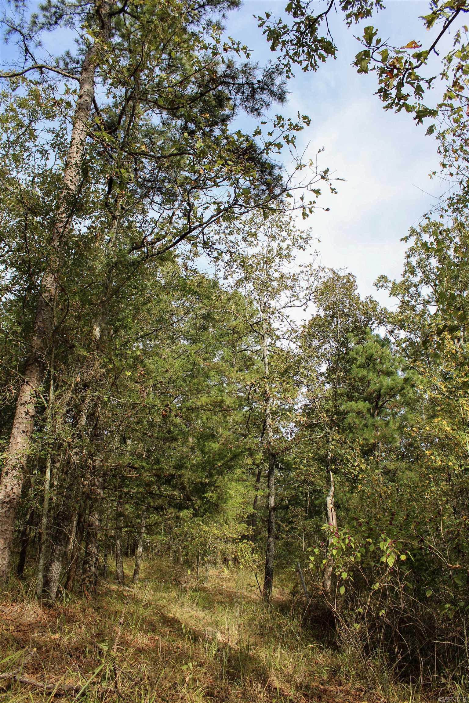 TBD  Polk 151  Hatfield, AR