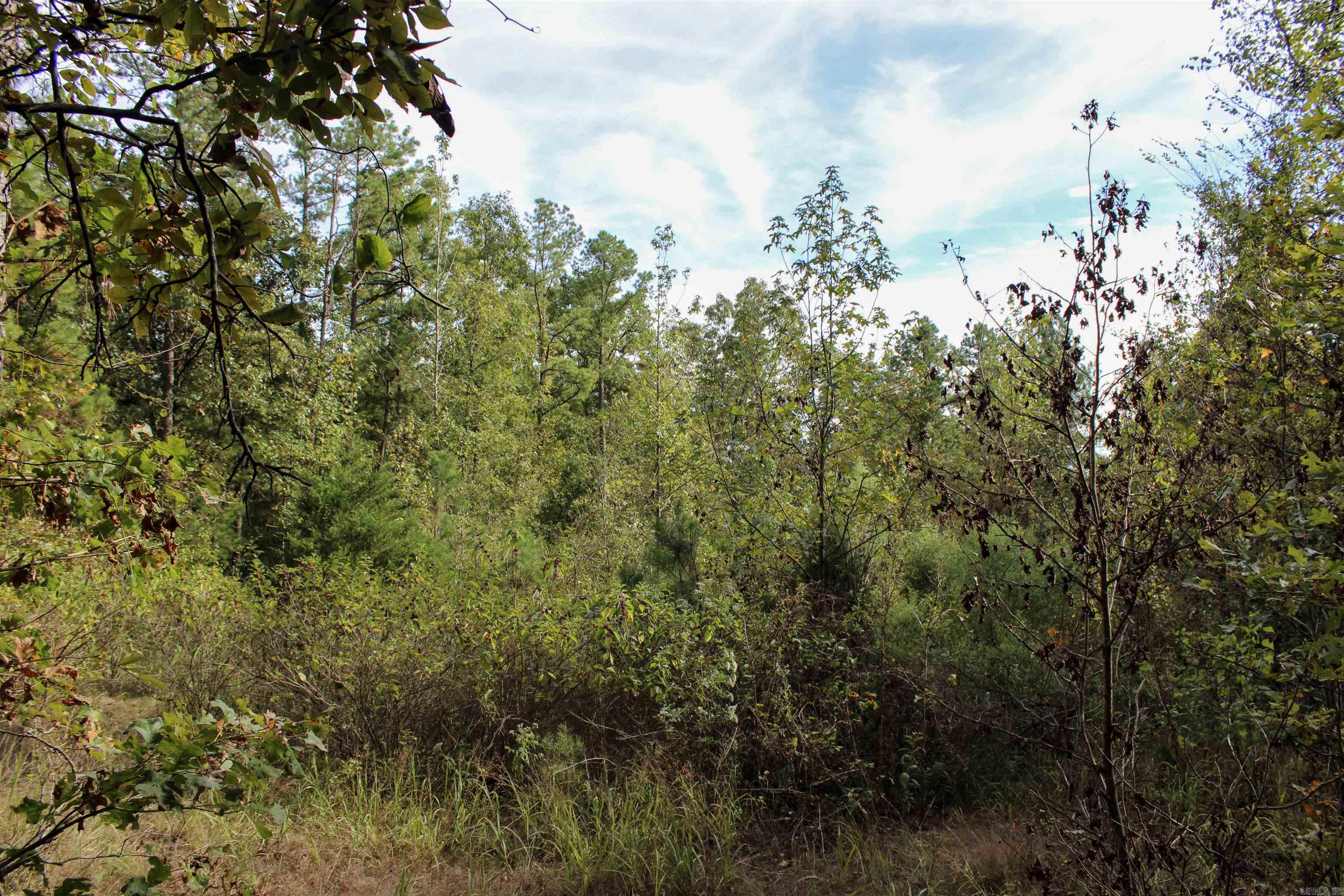 TBD  Polk 151  Hatfield, AR