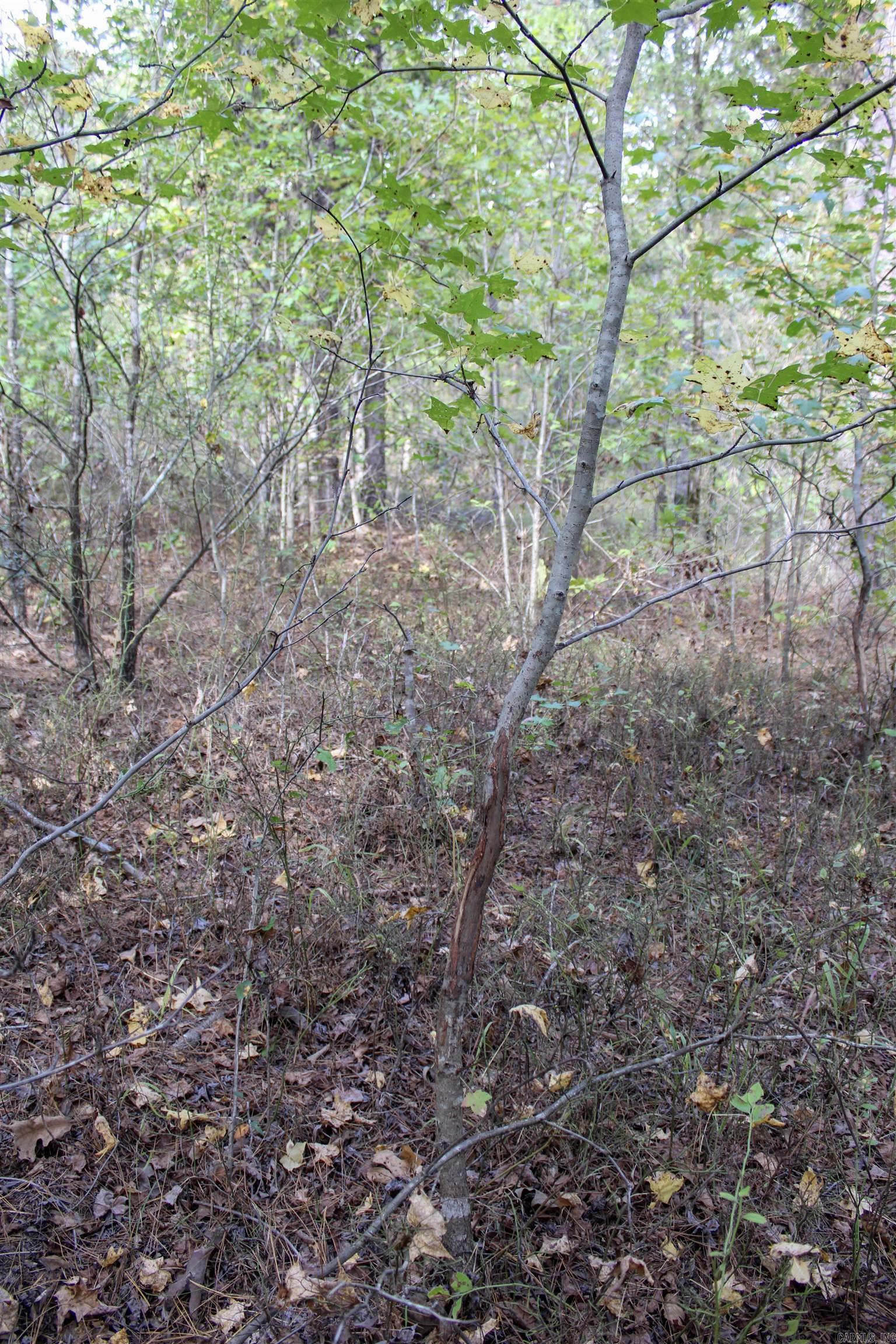 TBD  Polk 151  Hatfield, AR