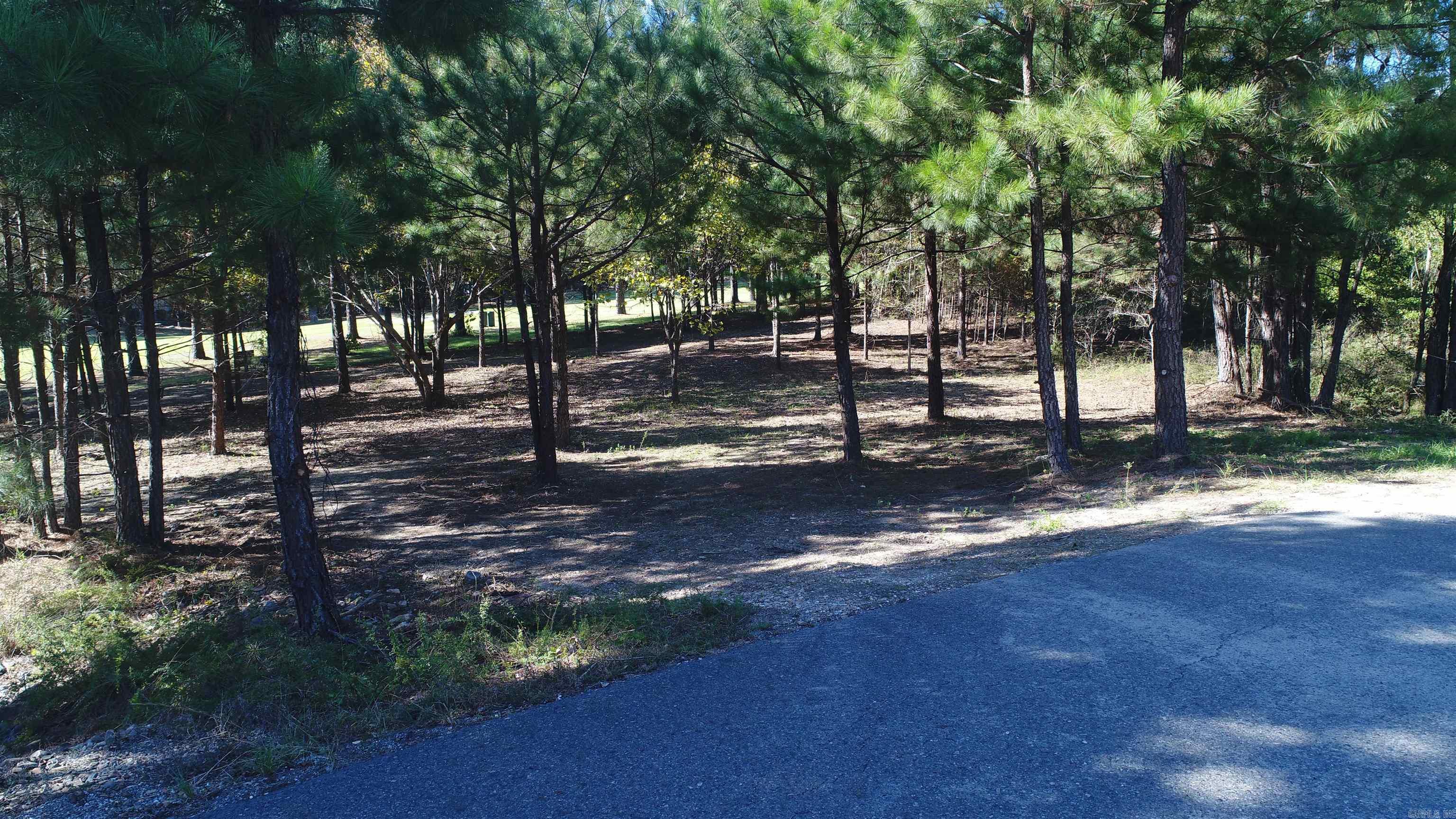 25  Alhaja  Hot Springs Village, AR