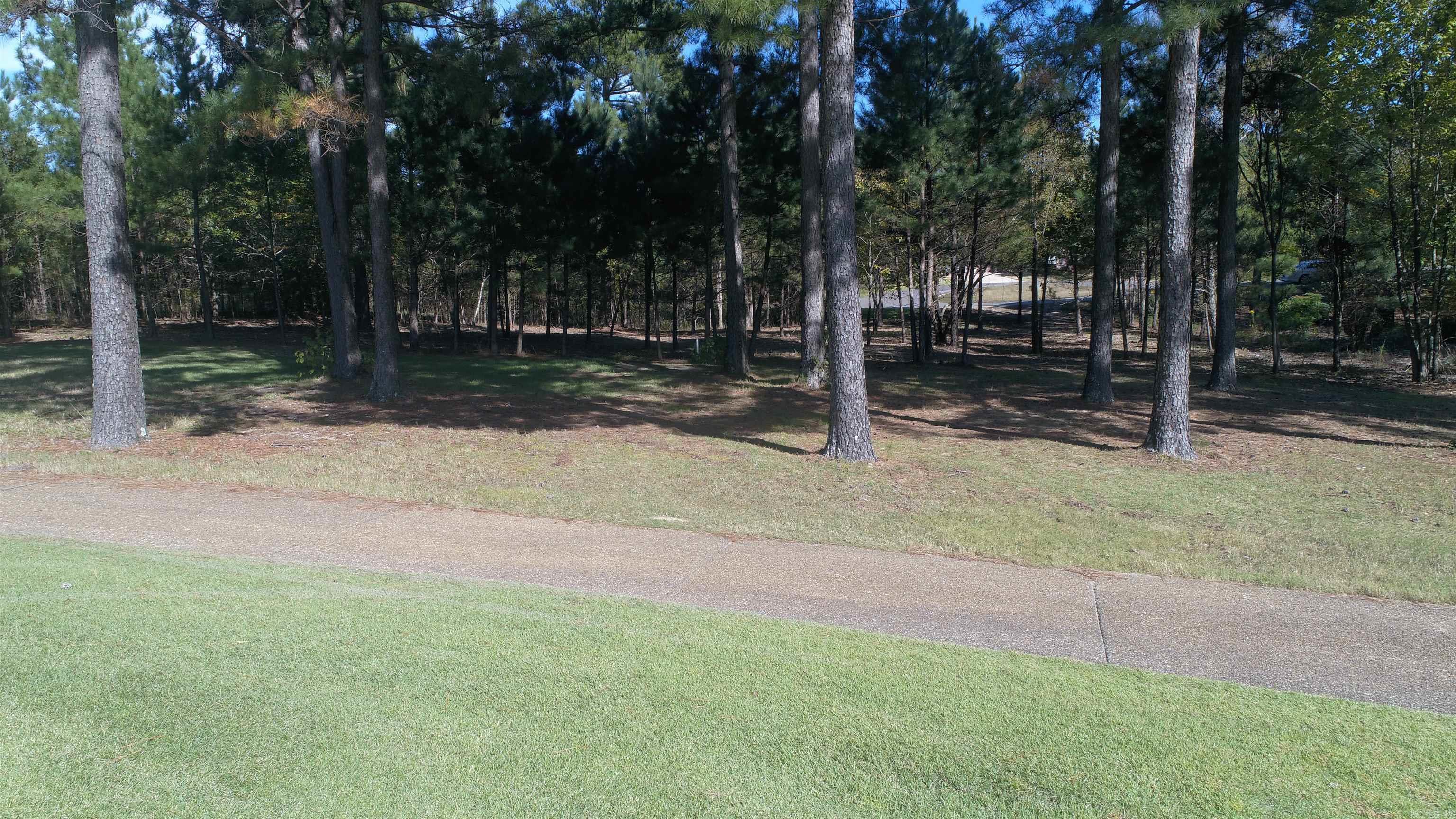 25  Alhaja  Hot Springs Village, AR