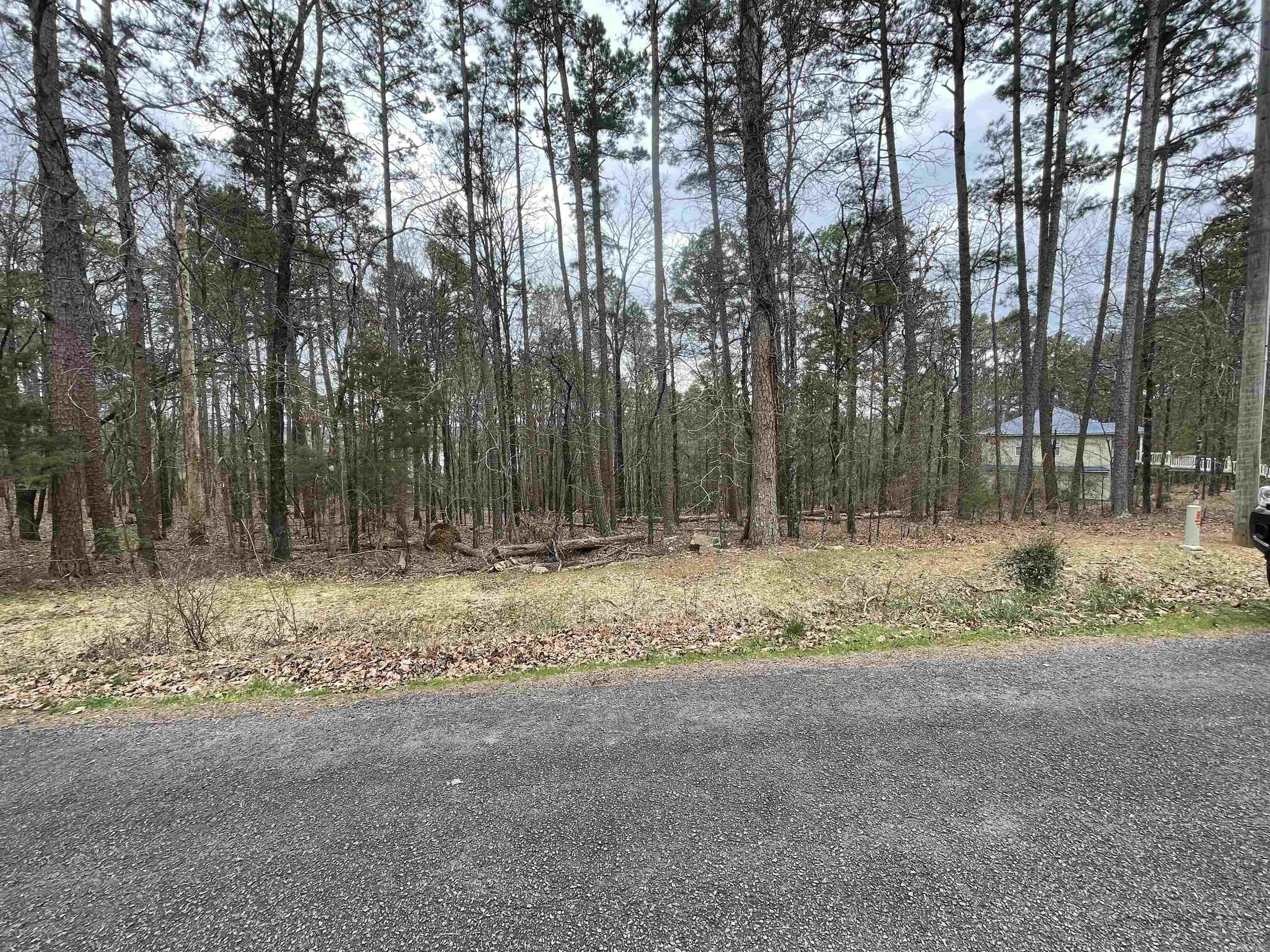 142 Genie Ln. Edgemont, AR 72044