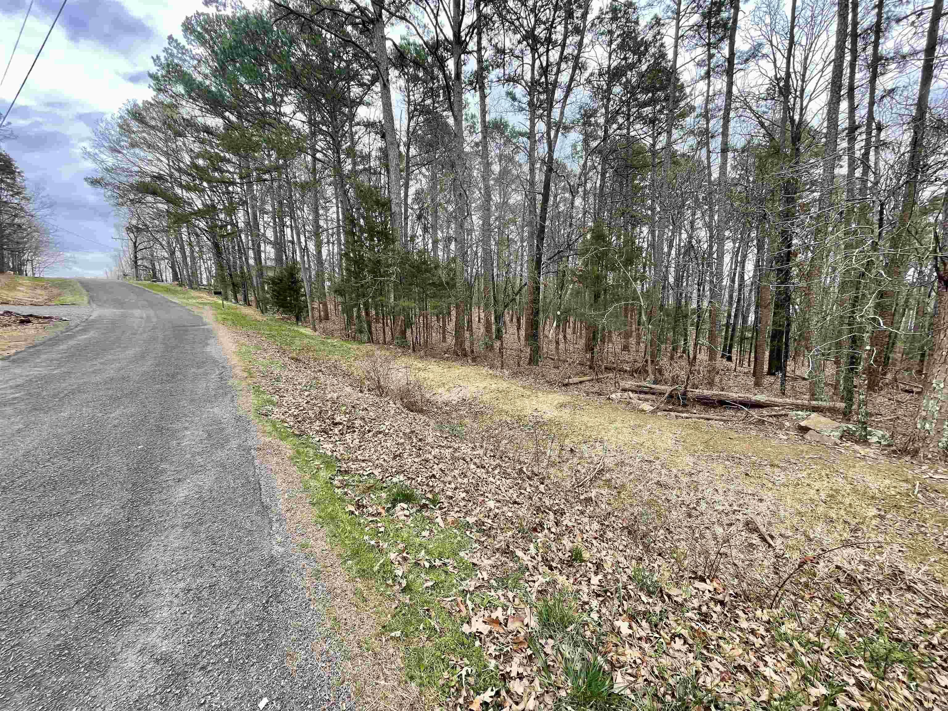142 Genie Ln. Edgemont, AR 72044