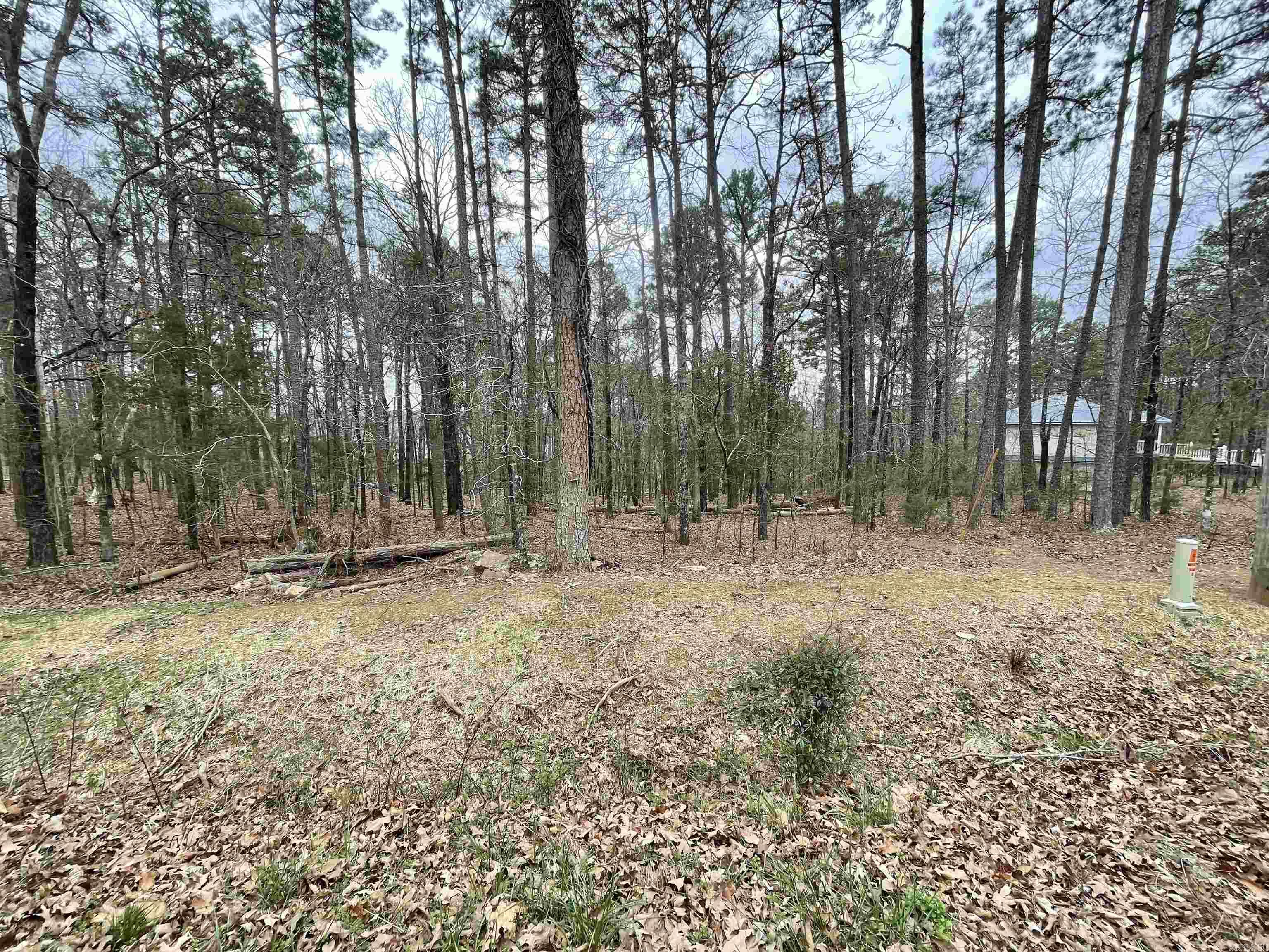142 Genie Ln. Edgemont, AR 72044