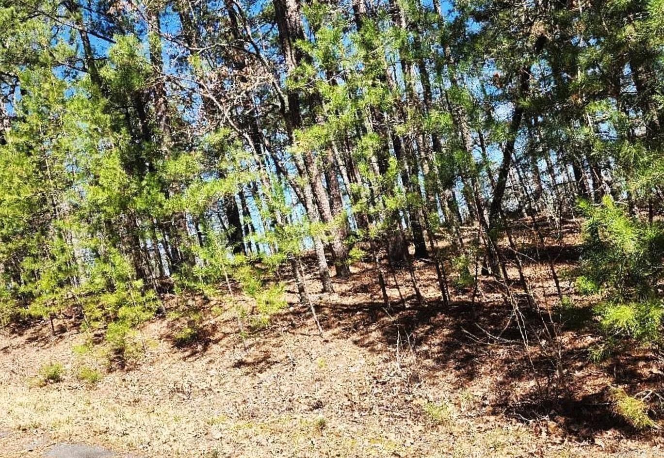 32  Dedalera Way Block 4 LOT 20 Hot Springs Village, AR