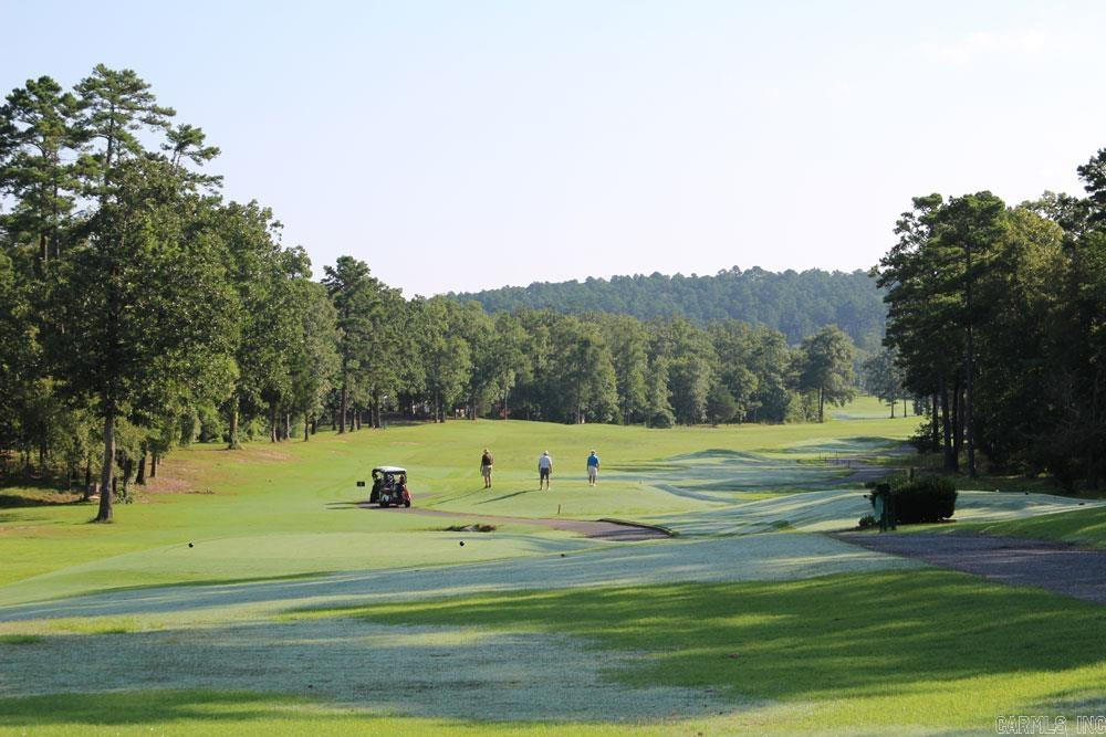 32  Dedalera Way Block 4 LOT 20 Hot Springs Village, AR