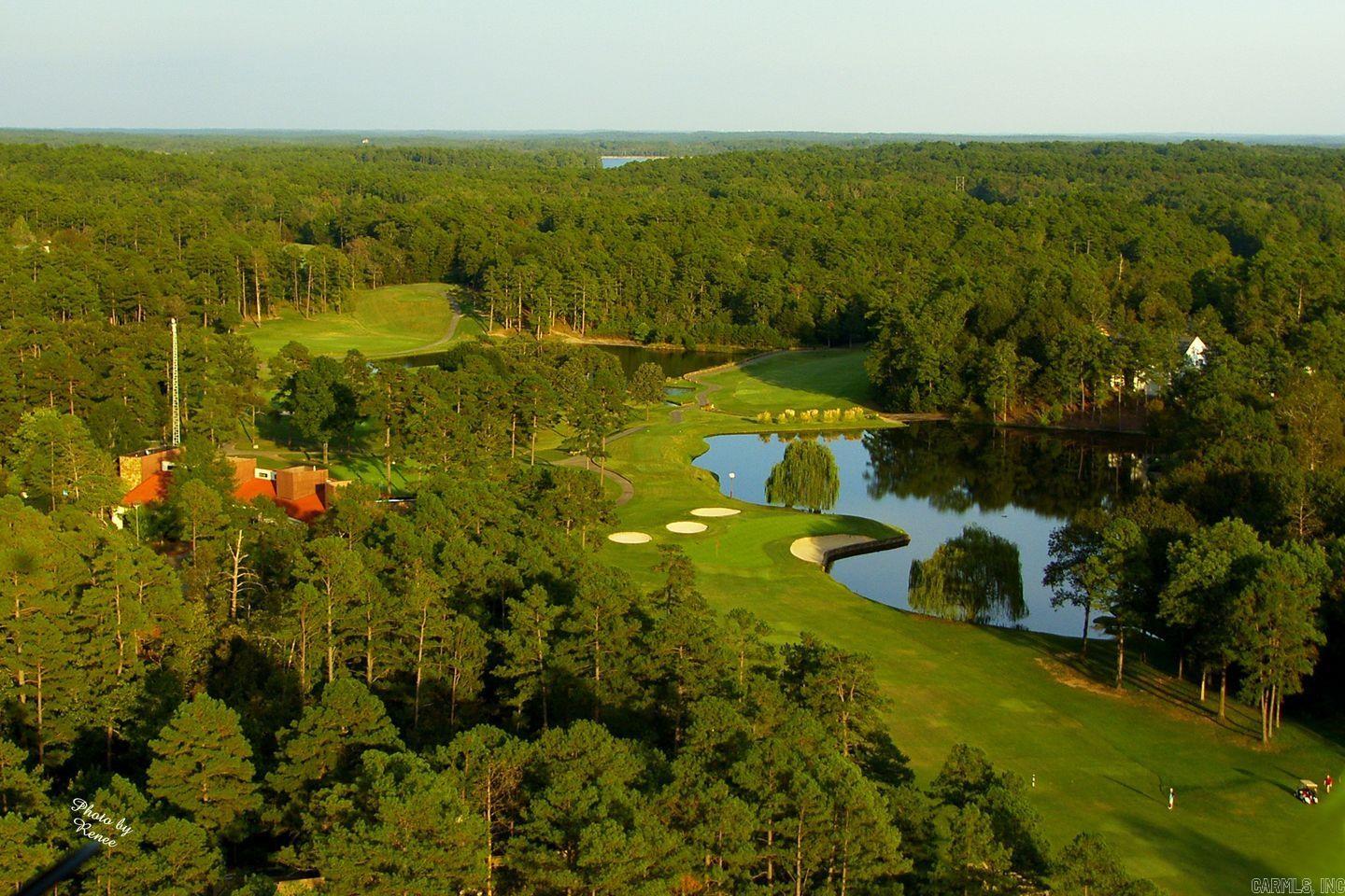 32  Dedalera Way Block 4 LOT 20 Hot Springs Village, AR