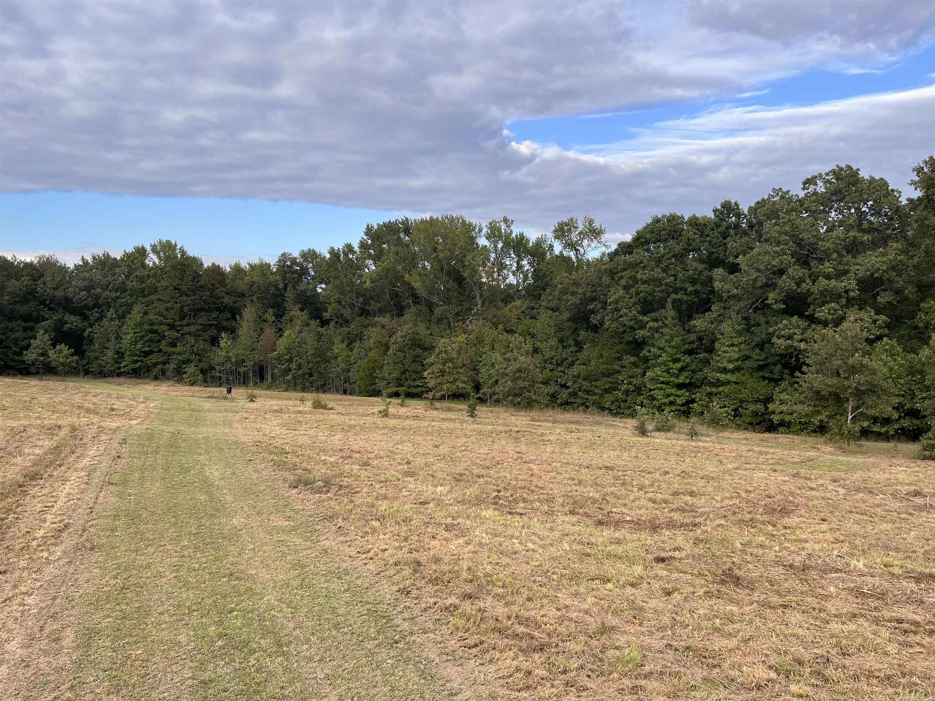 444 W Pleasant Springs  Quitman, AR
