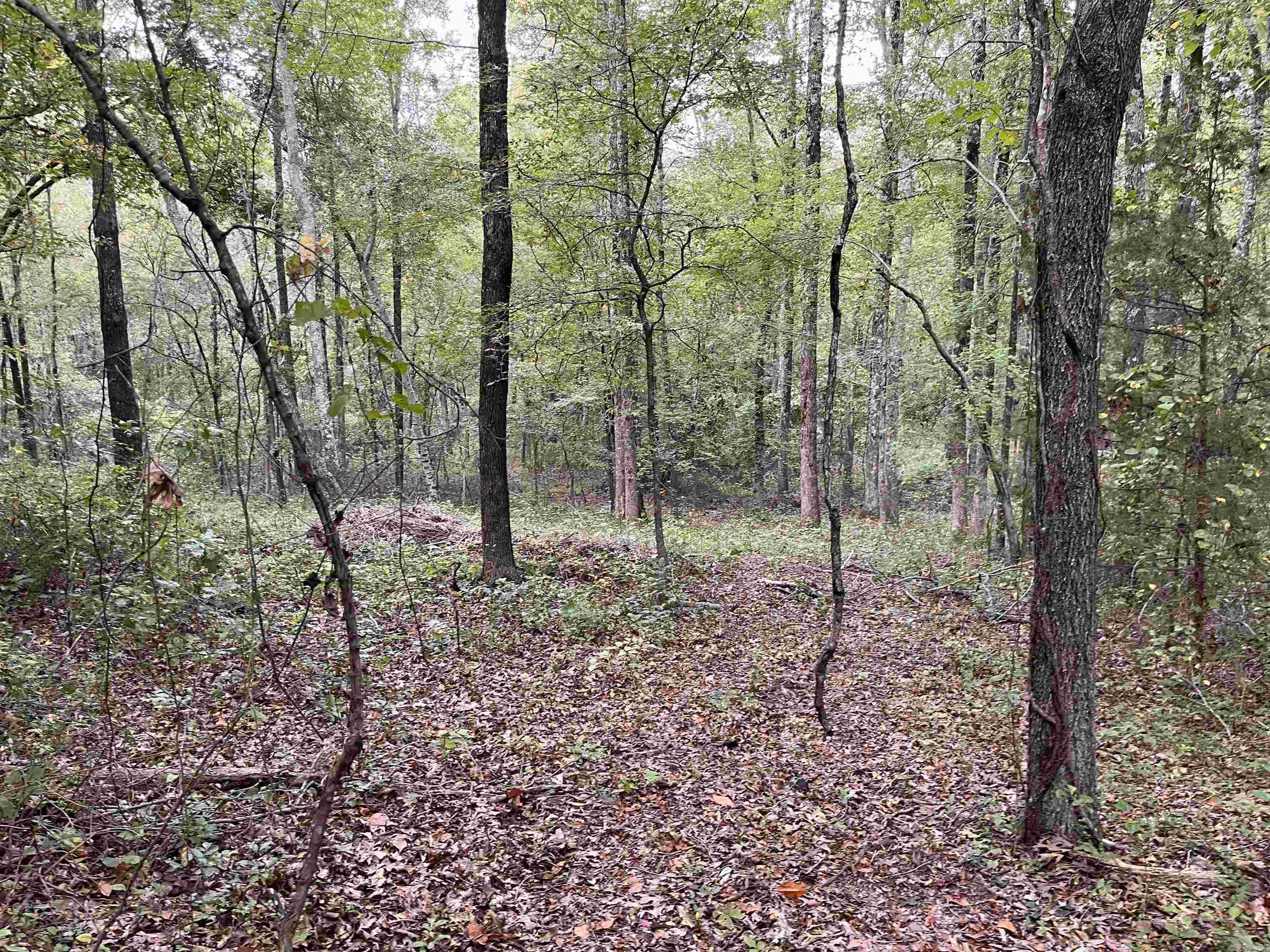444 W Pleasant Springs  Quitman, AR