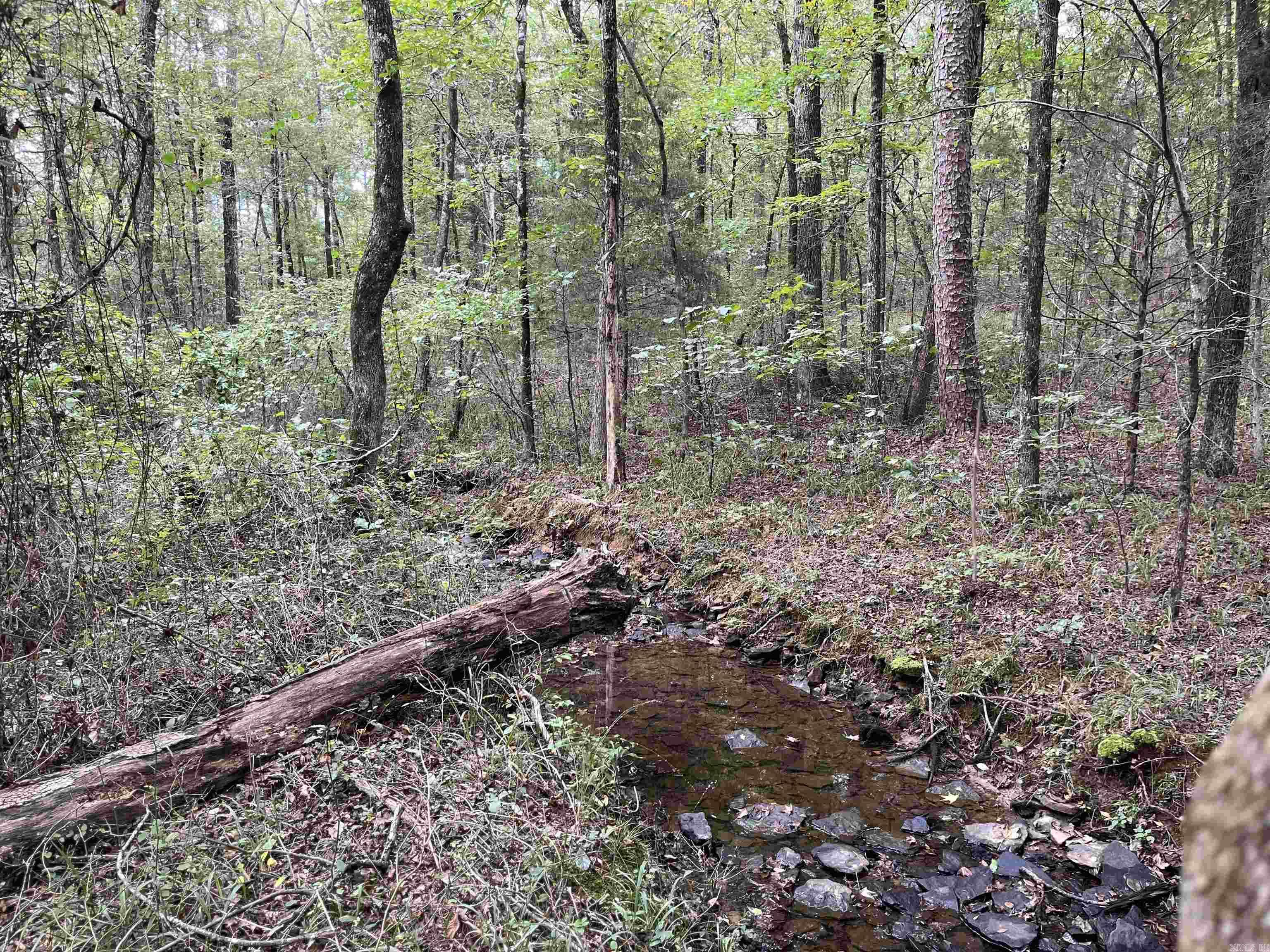444 W Pleasant Springs  Quitman, AR