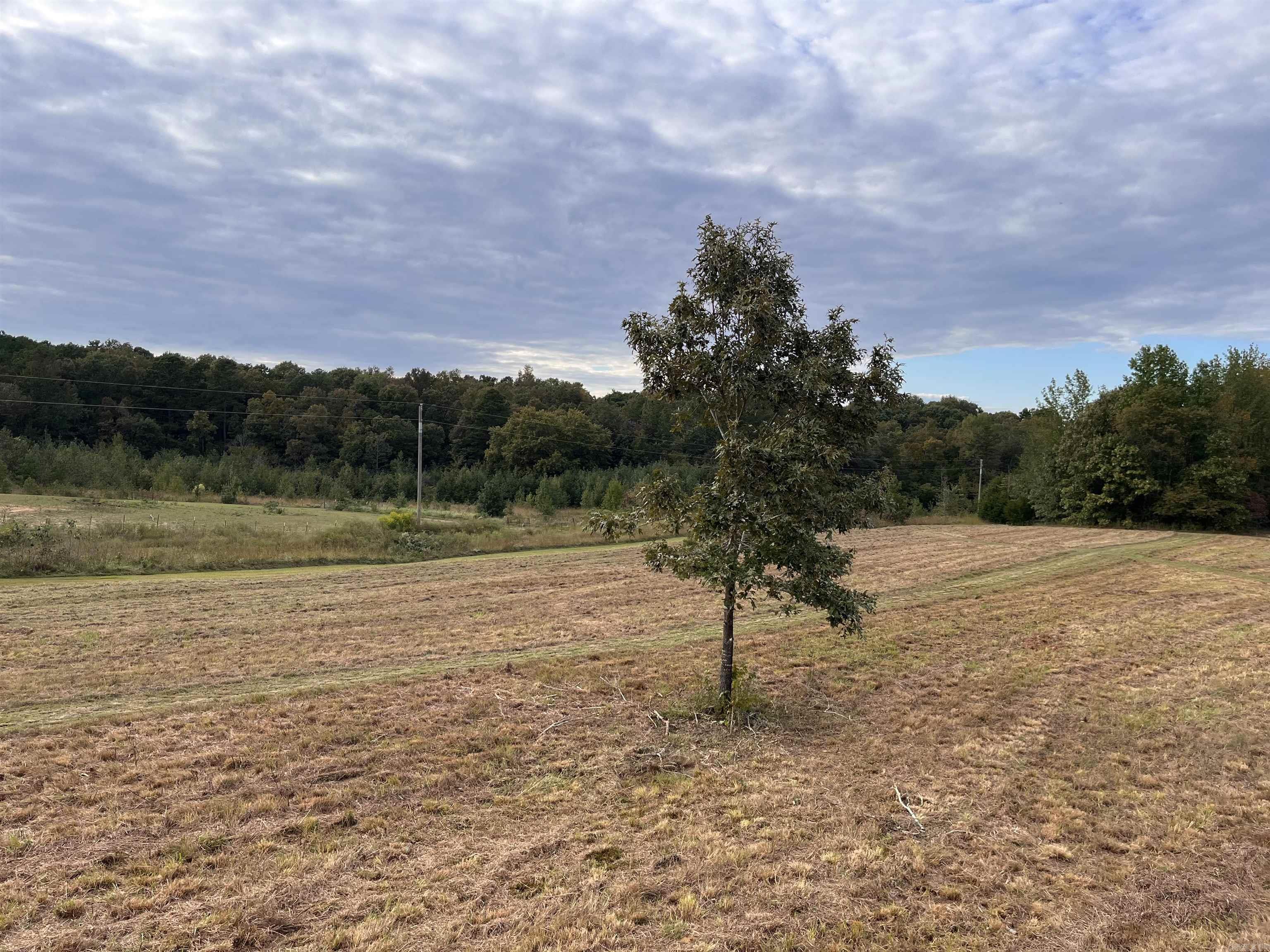 444 W Pleasant Springs  Quitman, AR