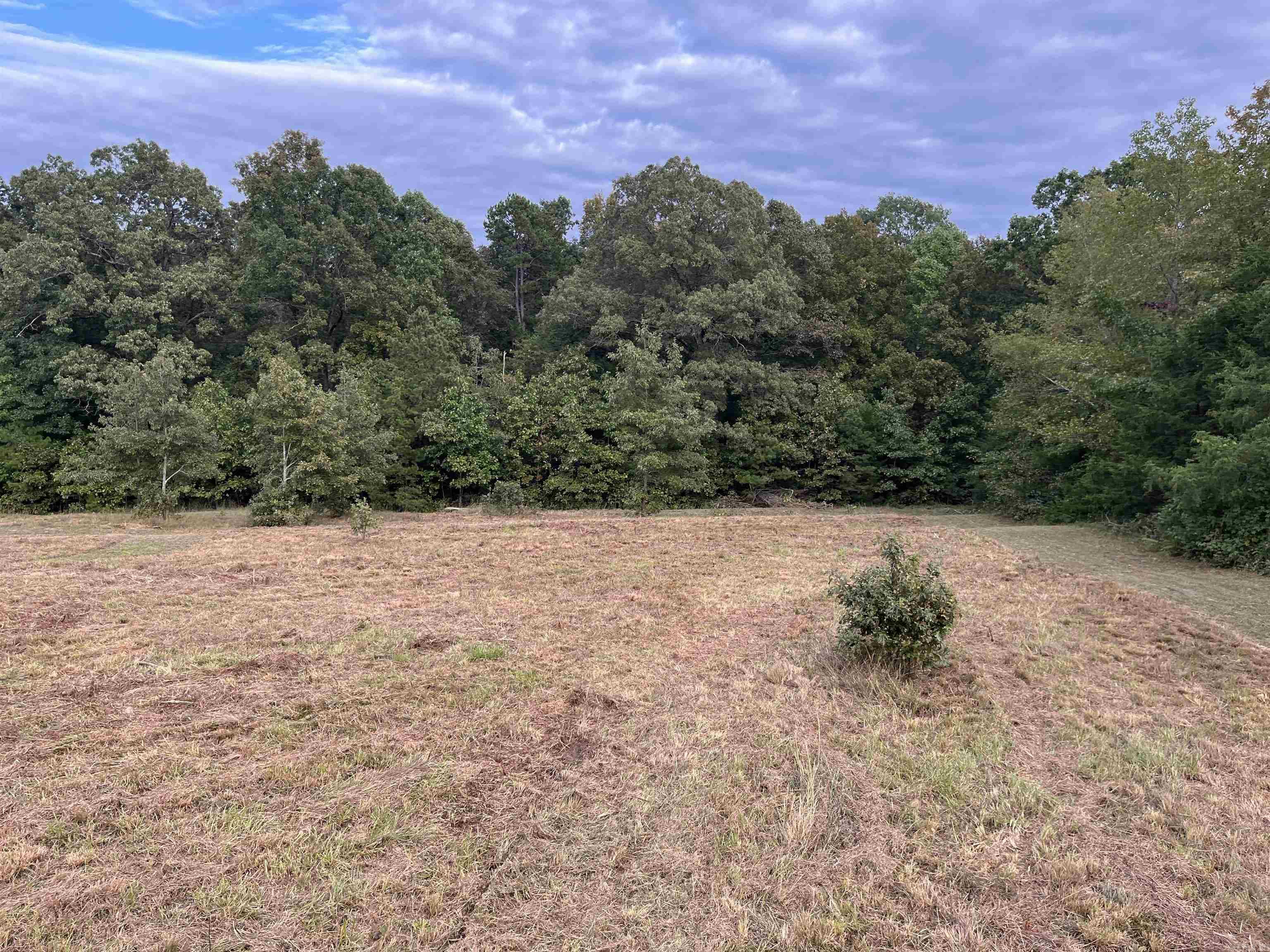444 W Pleasant Springs  Quitman, AR