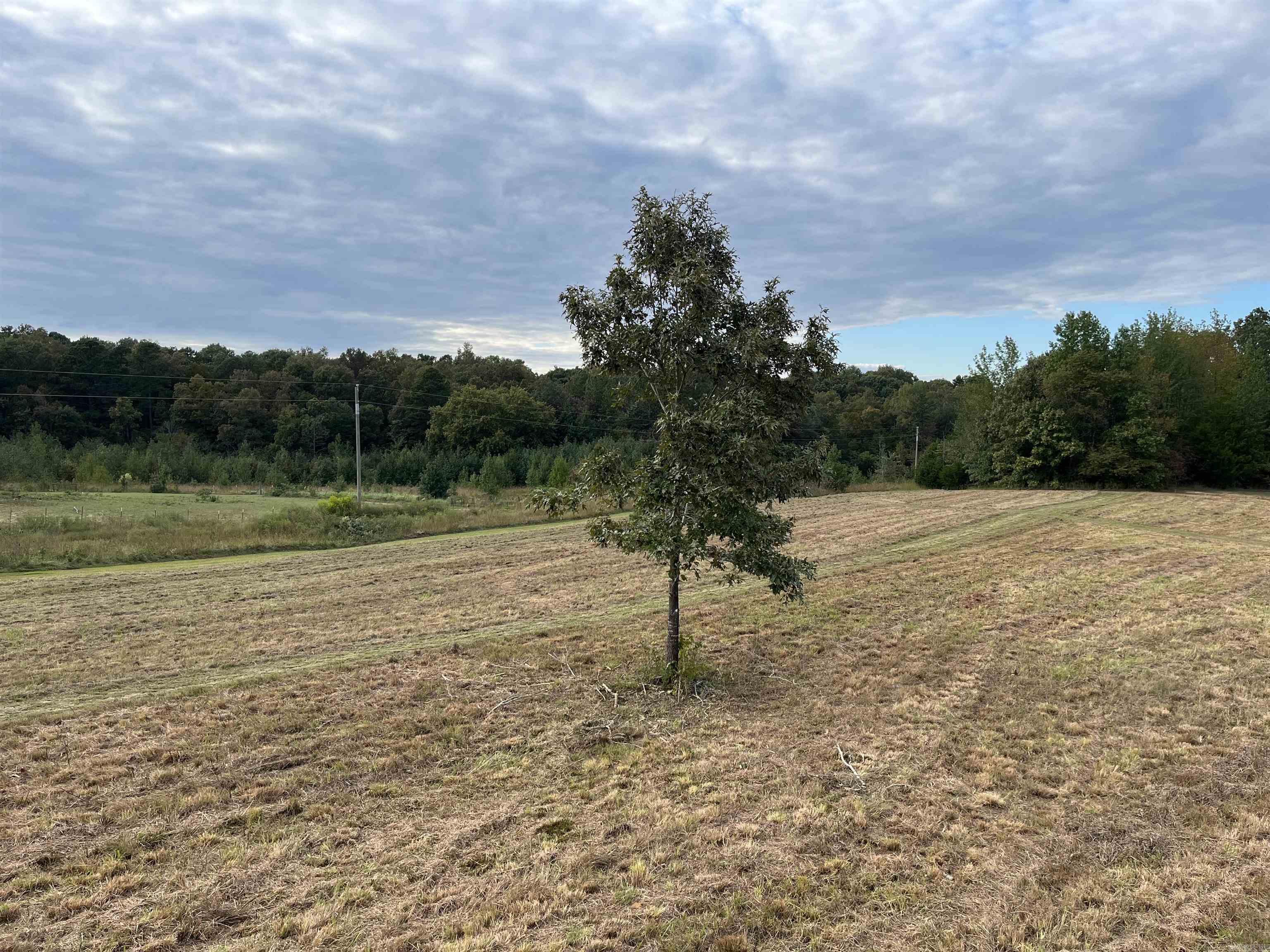 444 W Pleasant Springs  Quitman, AR