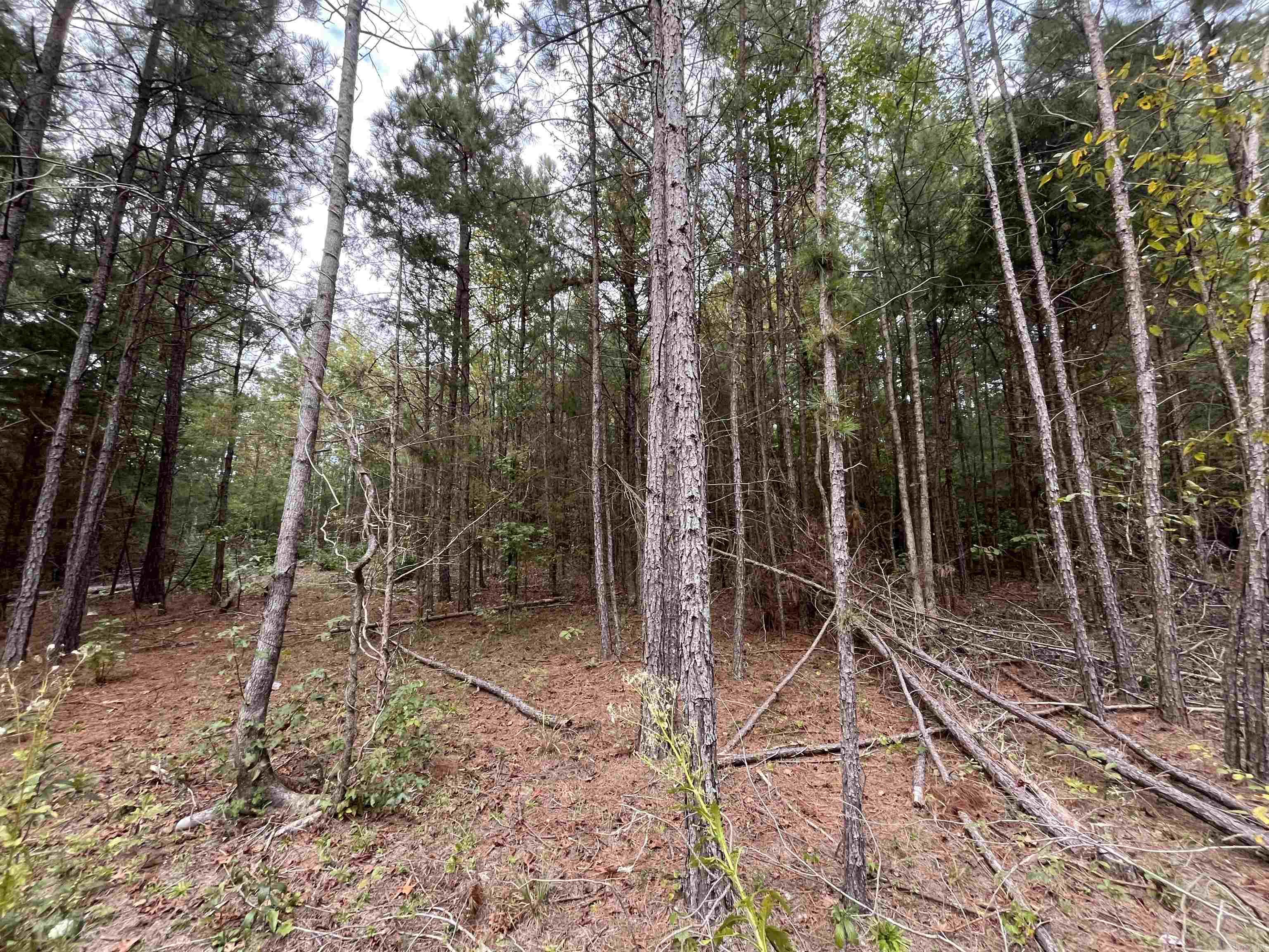 444 W Pleasant Springs  Quitman, AR