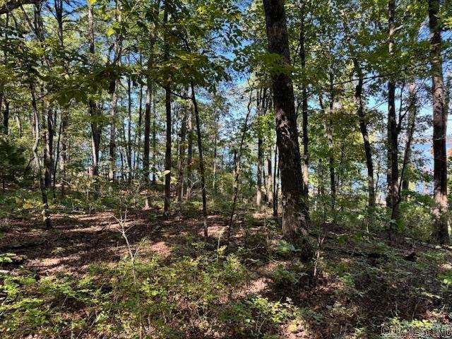 Lot 119  Lakefront  Quitman, AR