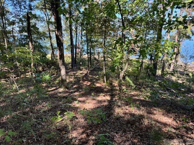 Lot 119  Lakefront  Quitman, AR