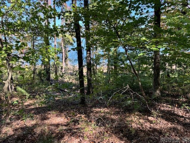 Lot 119  Lakefront  Quitman, AR