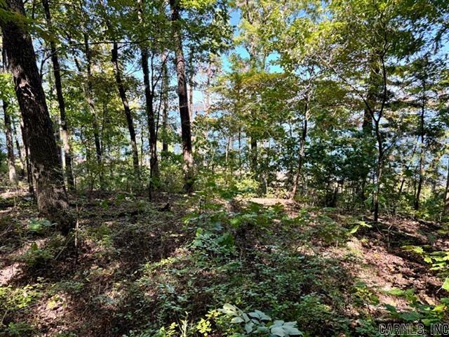Lot 119  Lakefront  Quitman, AR